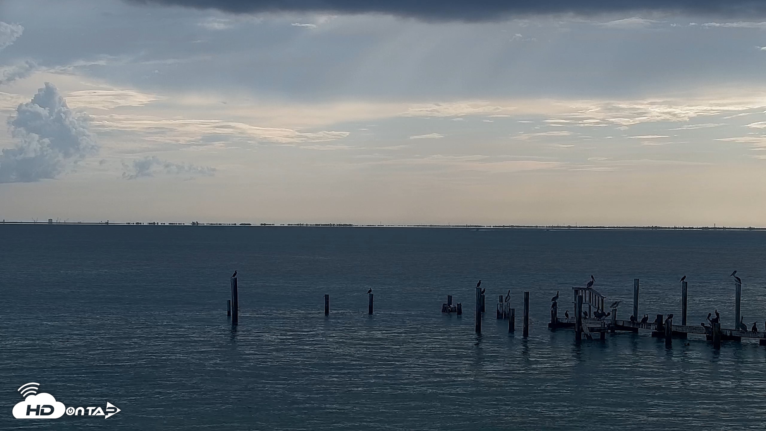 Snapshot of Anna Maria Island Florida Live Webcam taken Aug 23, 2026, 8:45am EDT