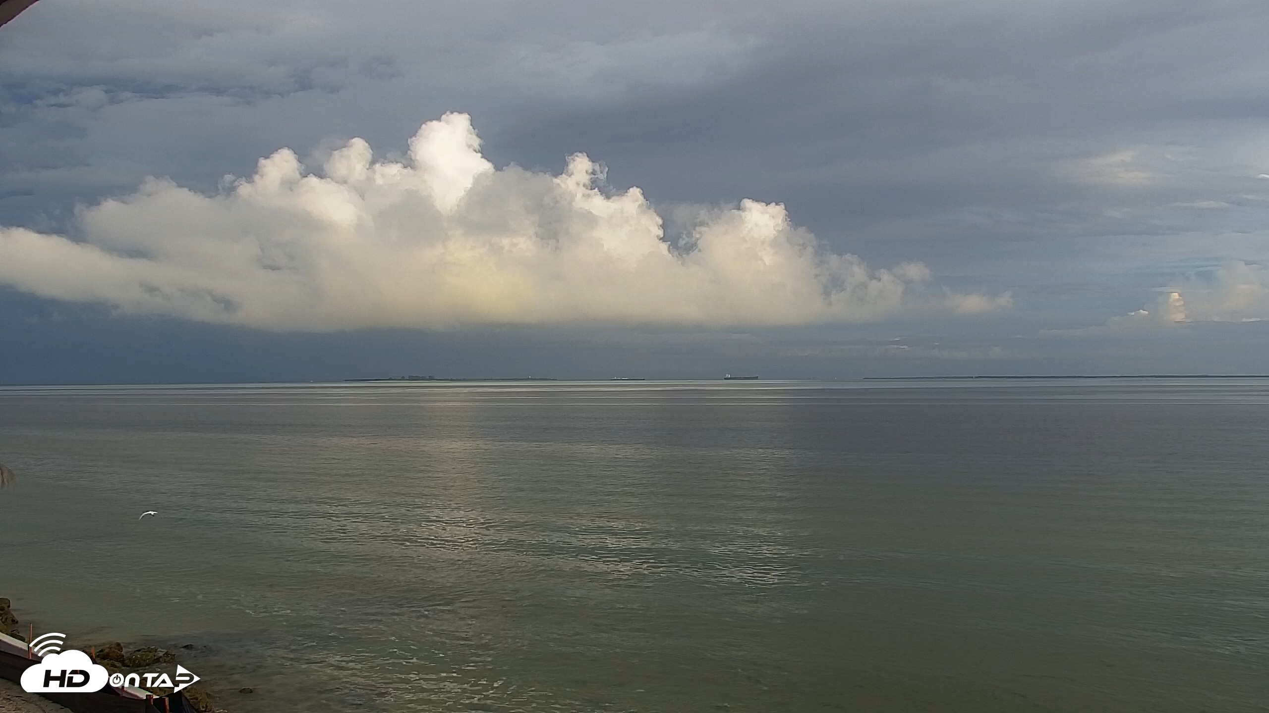 Snapshot of Anna Maria Island Florida Live Webcam taken Oct 17, 2026, 8:23am EDT