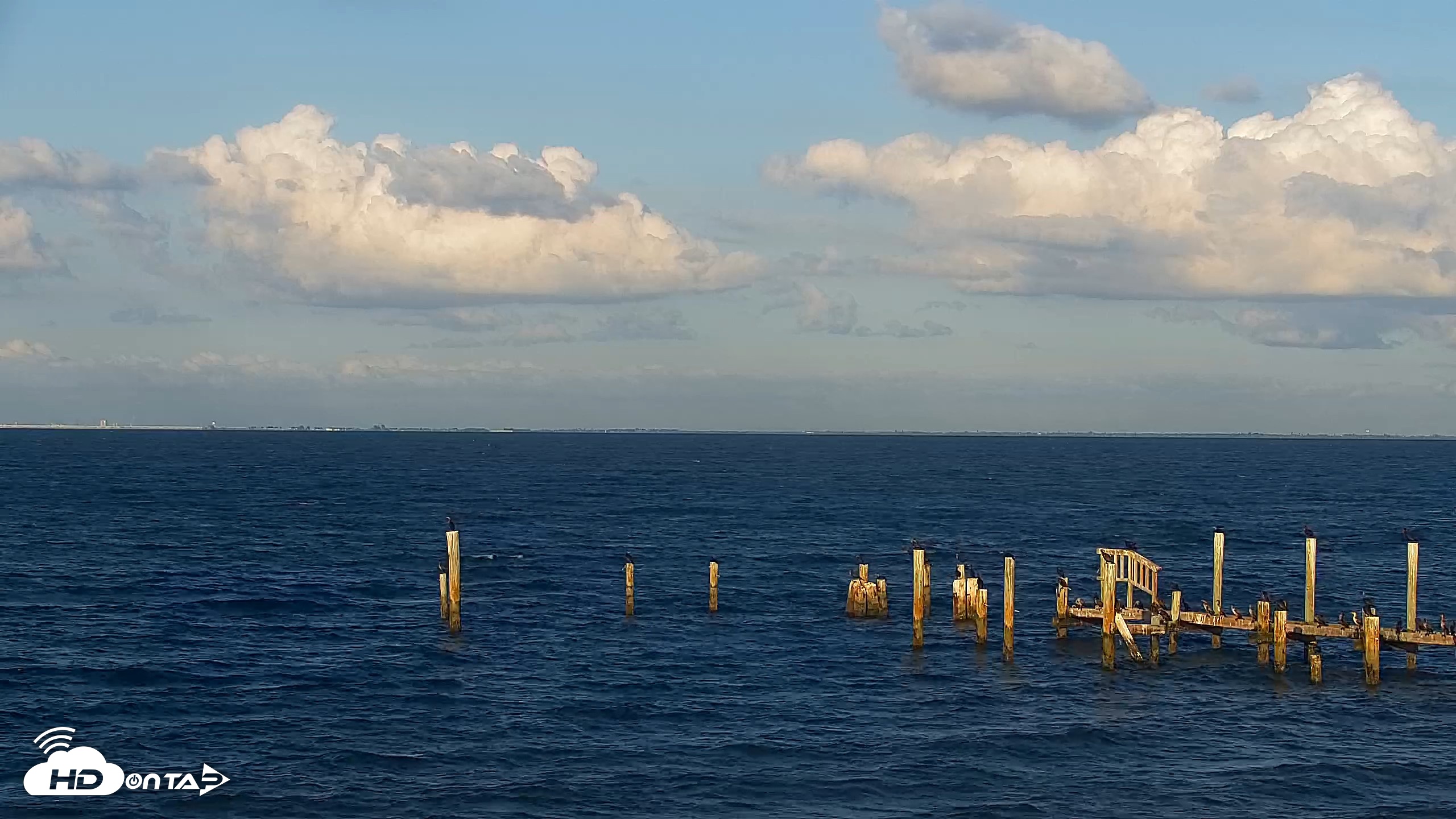 Snapshot of Anna Maria Island Florida Live Webcam taken Sep 24, 2026, 6:29pm EDT