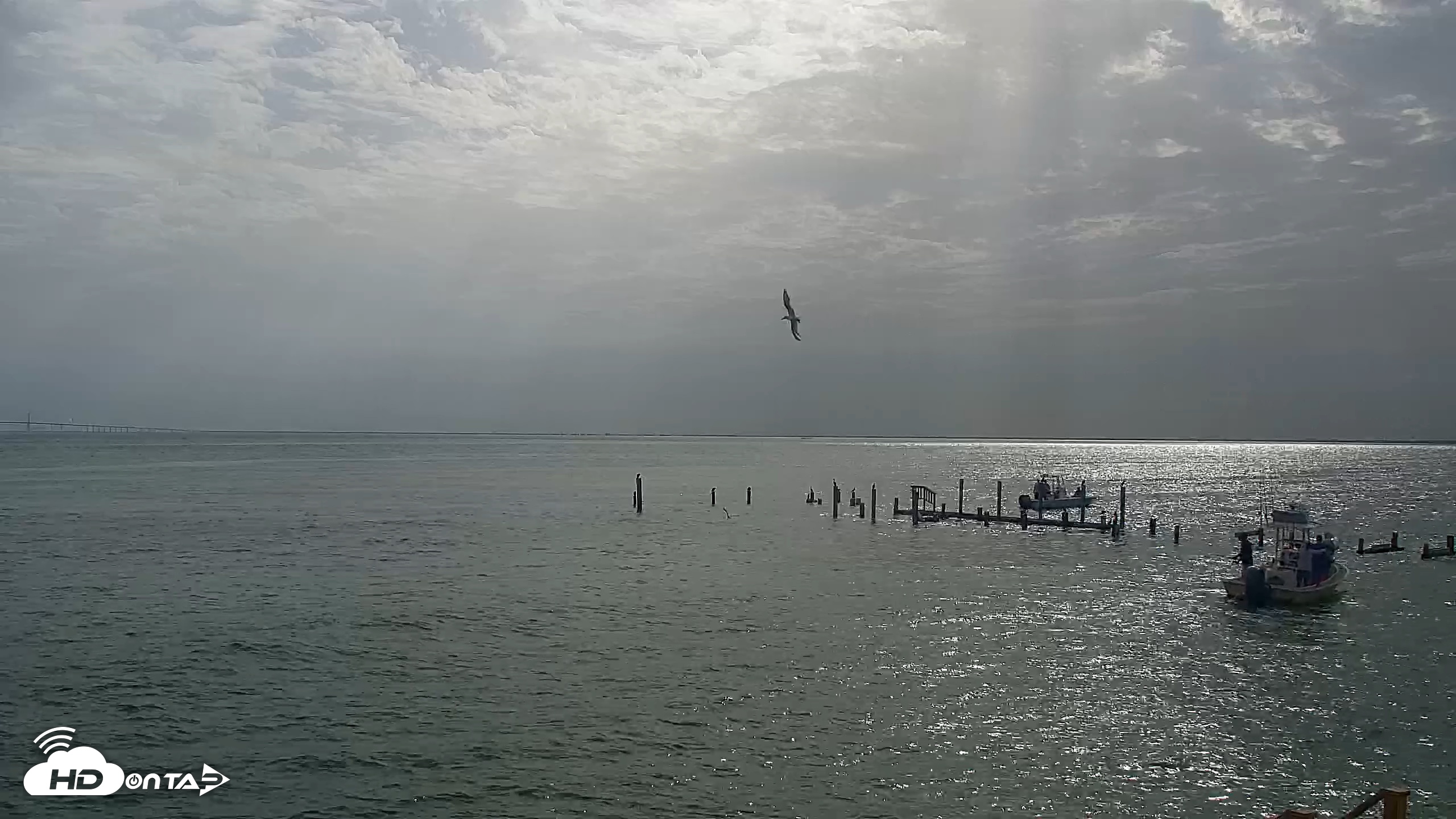 Snapshot of Anna Maria Island Florida Live Webcam taken Jul 13, 2026, 9:33am EDT