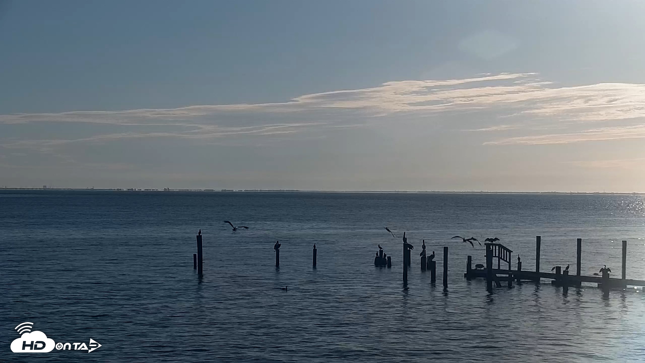 Snapshot of Anna Maria Island Florida Live Webcam taken Aug 24, 2026, 8:10am EDT