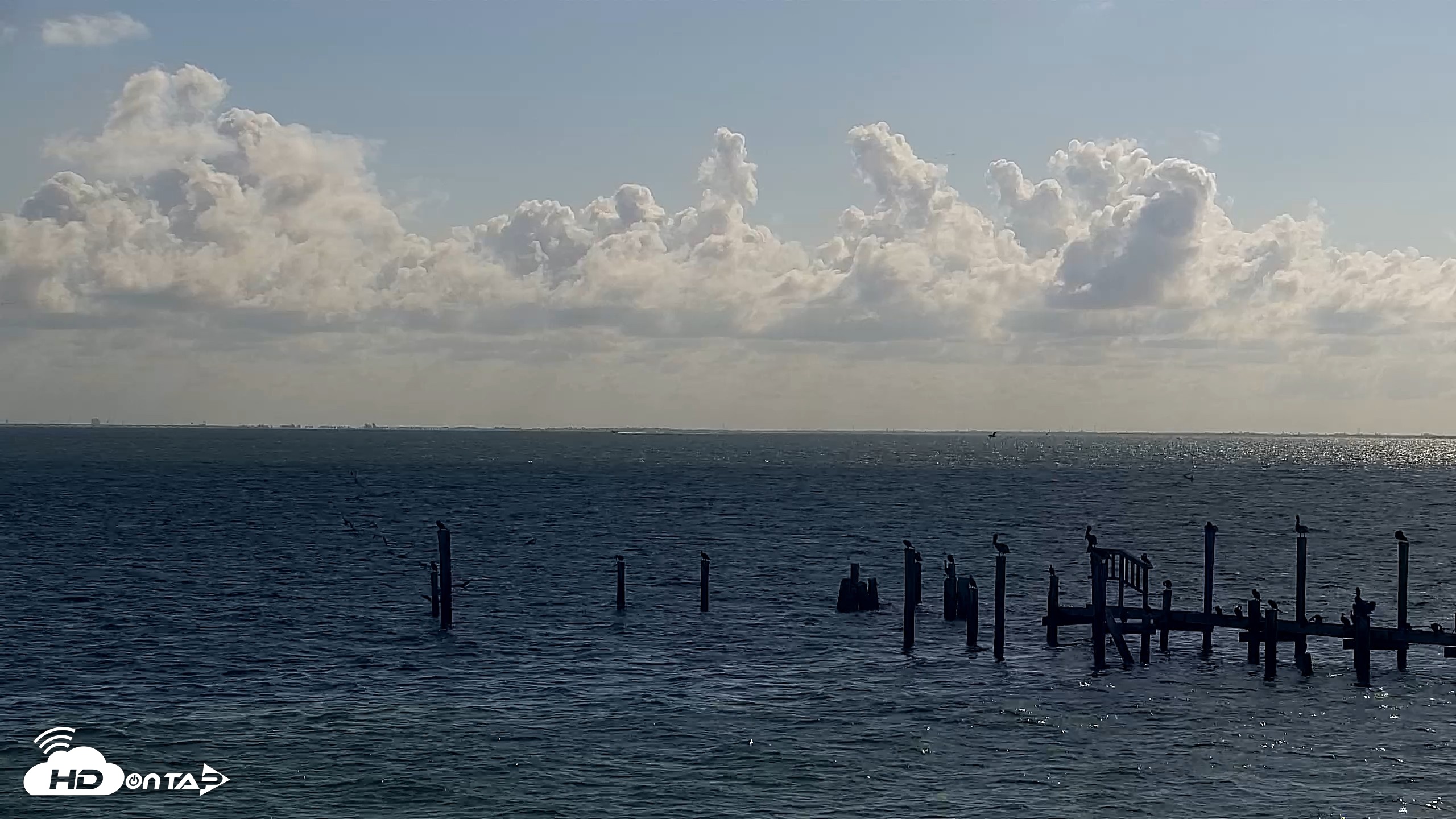 Snapshot of Anna Maria Island Florida Live Webcam taken Aug 19, 2026, 9:29am EDT