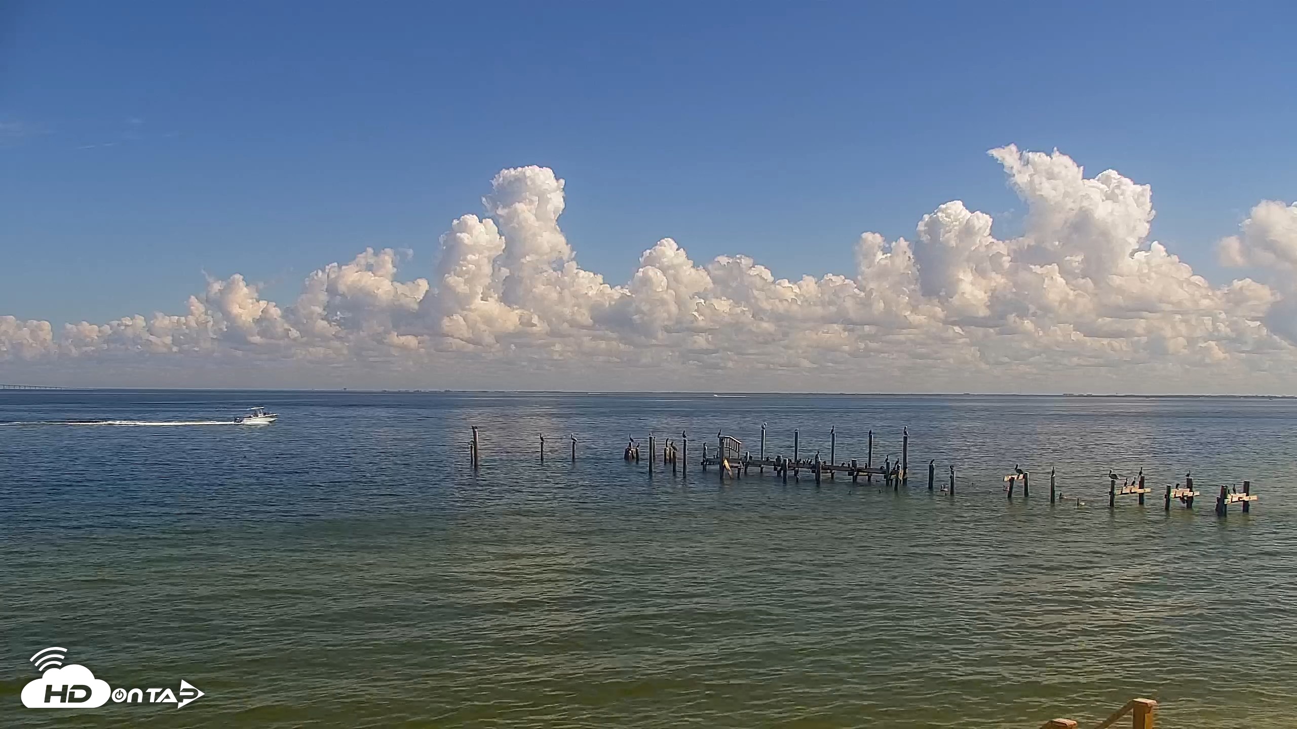 Snapshot of Anna Maria Island Florida Live Webcam taken Oct 16, 2026, 12:23pm EDT