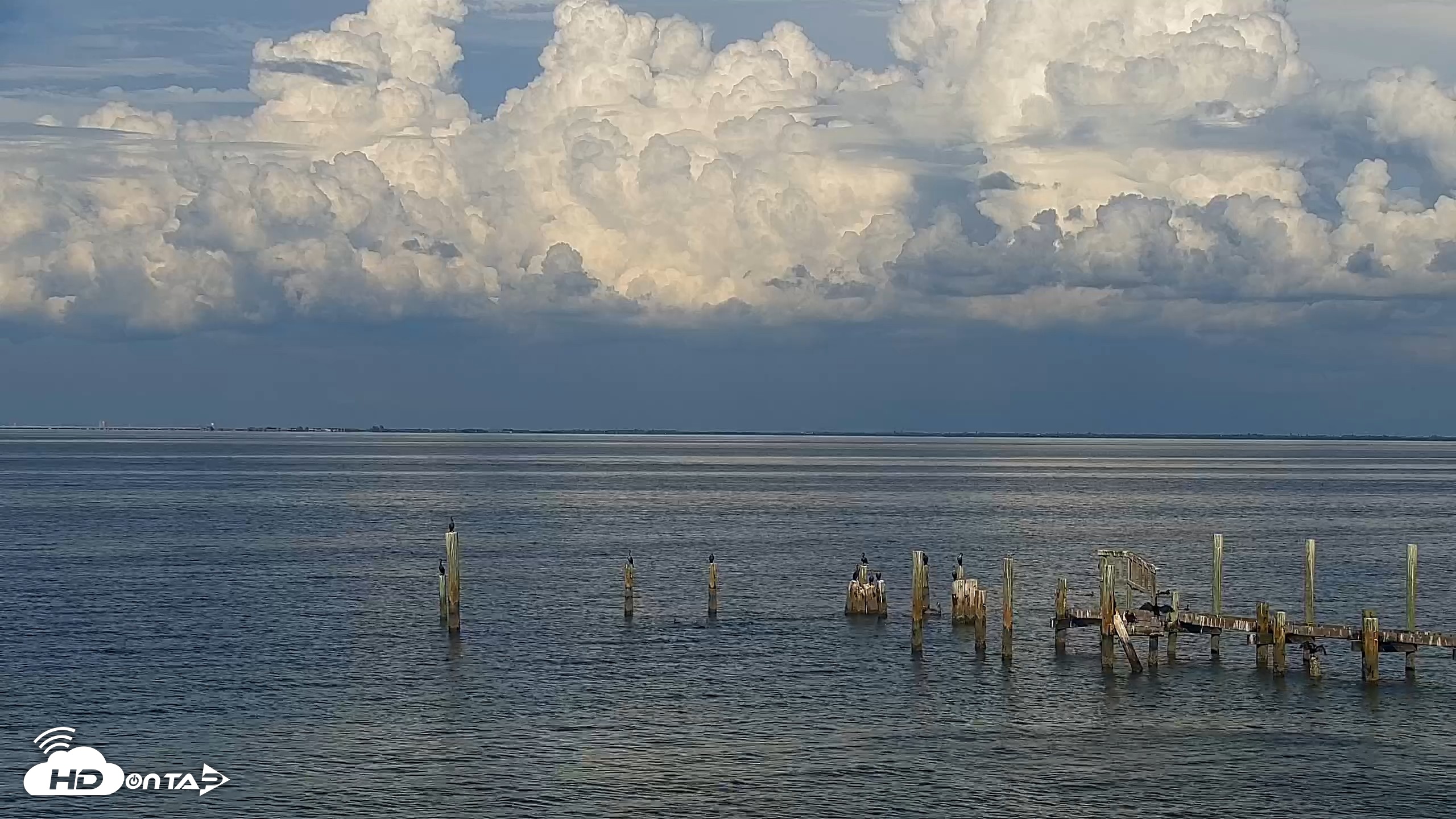Snapshot of Anna Maria Island Florida Live Webcam taken Sep 22, 2026, 5:23pm EDT