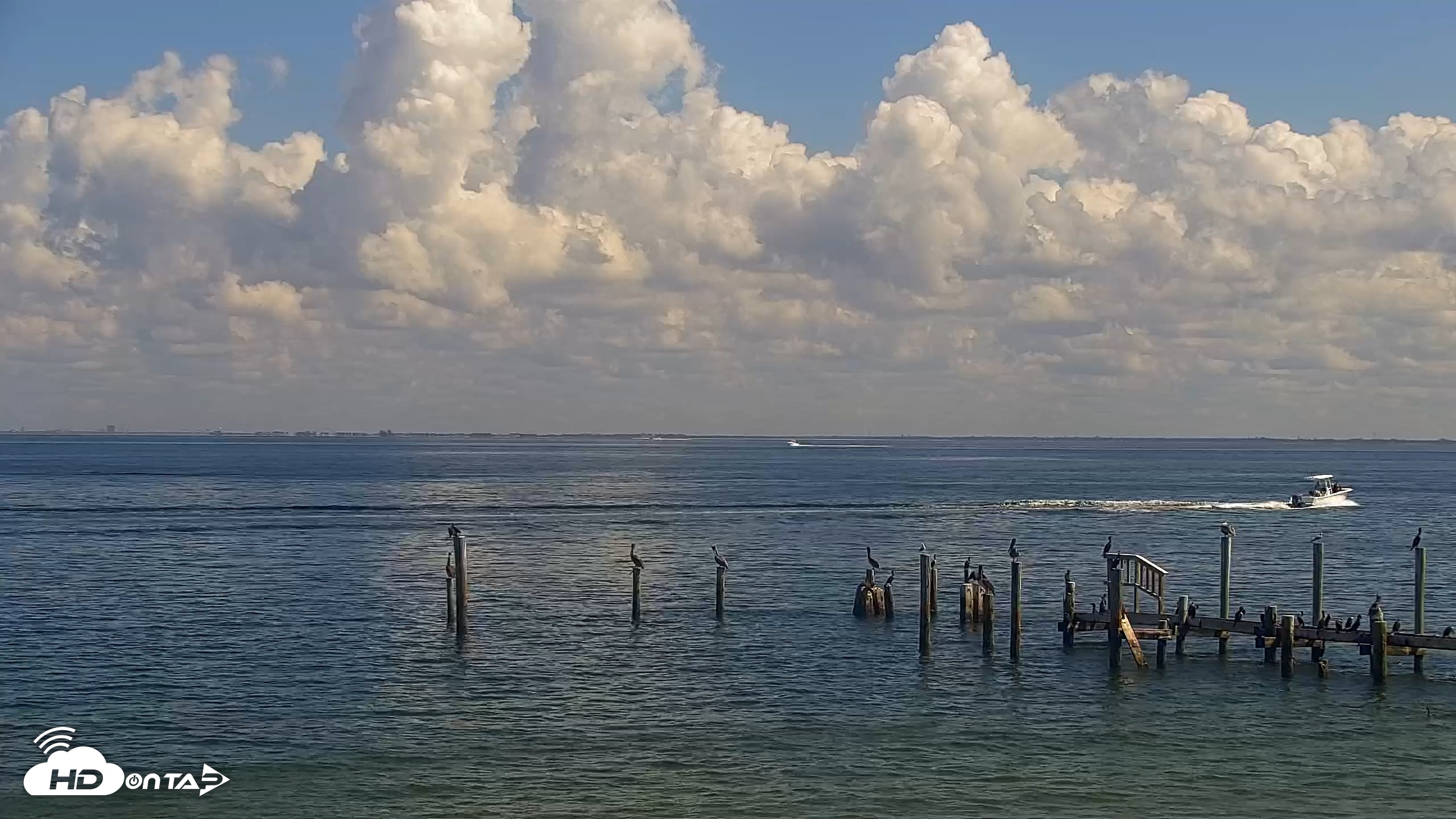 Snapshot of Anna Maria Island Florida Live Webcam taken Oct 16, 2026, 12:23pm EDT