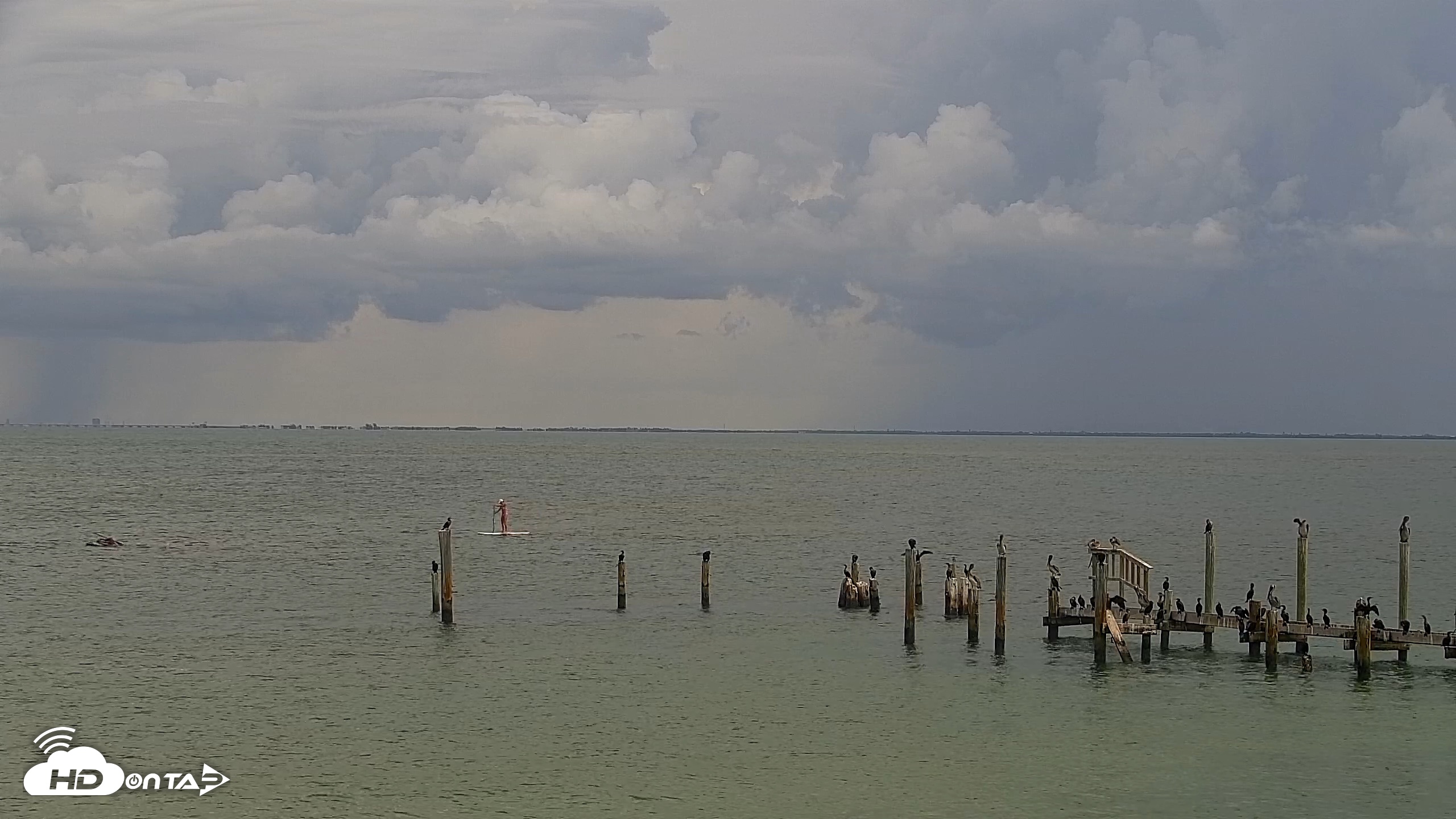 Snapshot of Anna Maria Island Florida Live Webcam taken Aug 23, 2026, 12:53pm EDT