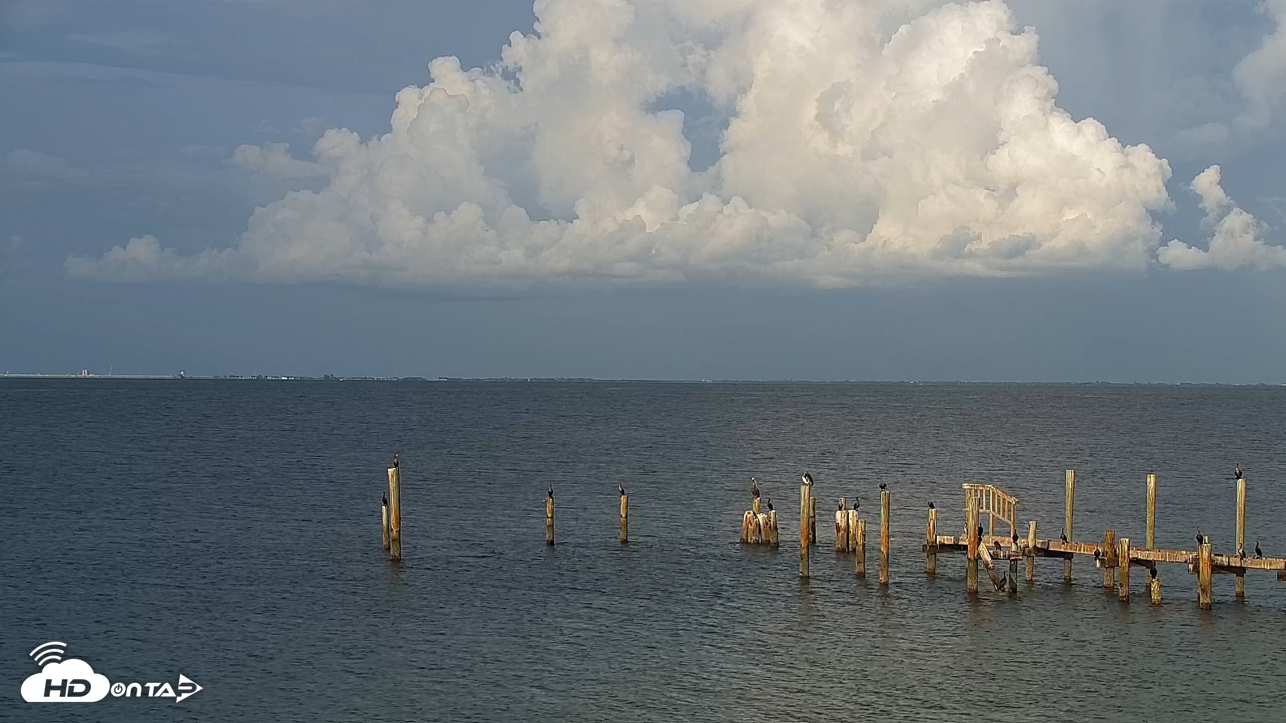 Snapshot of Anna Maria Island Florida Live Webcam taken Aug 24, 2026, 6:53pm EDT