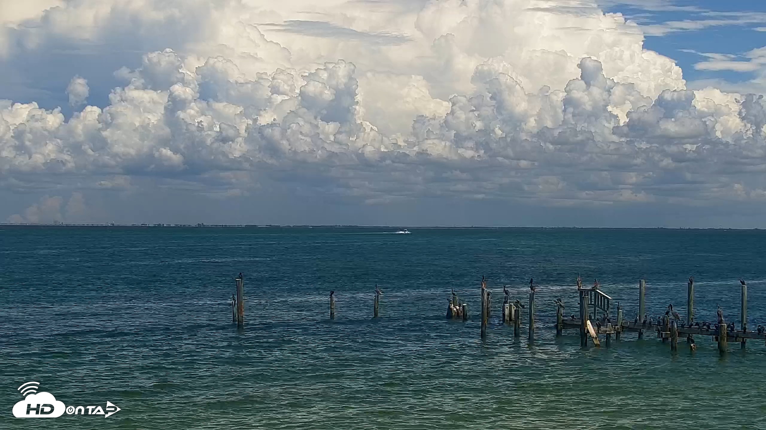 Snapshot of Anna Maria Island Florida Live Webcam taken Sep 1, 2026, 2:07pm EDT