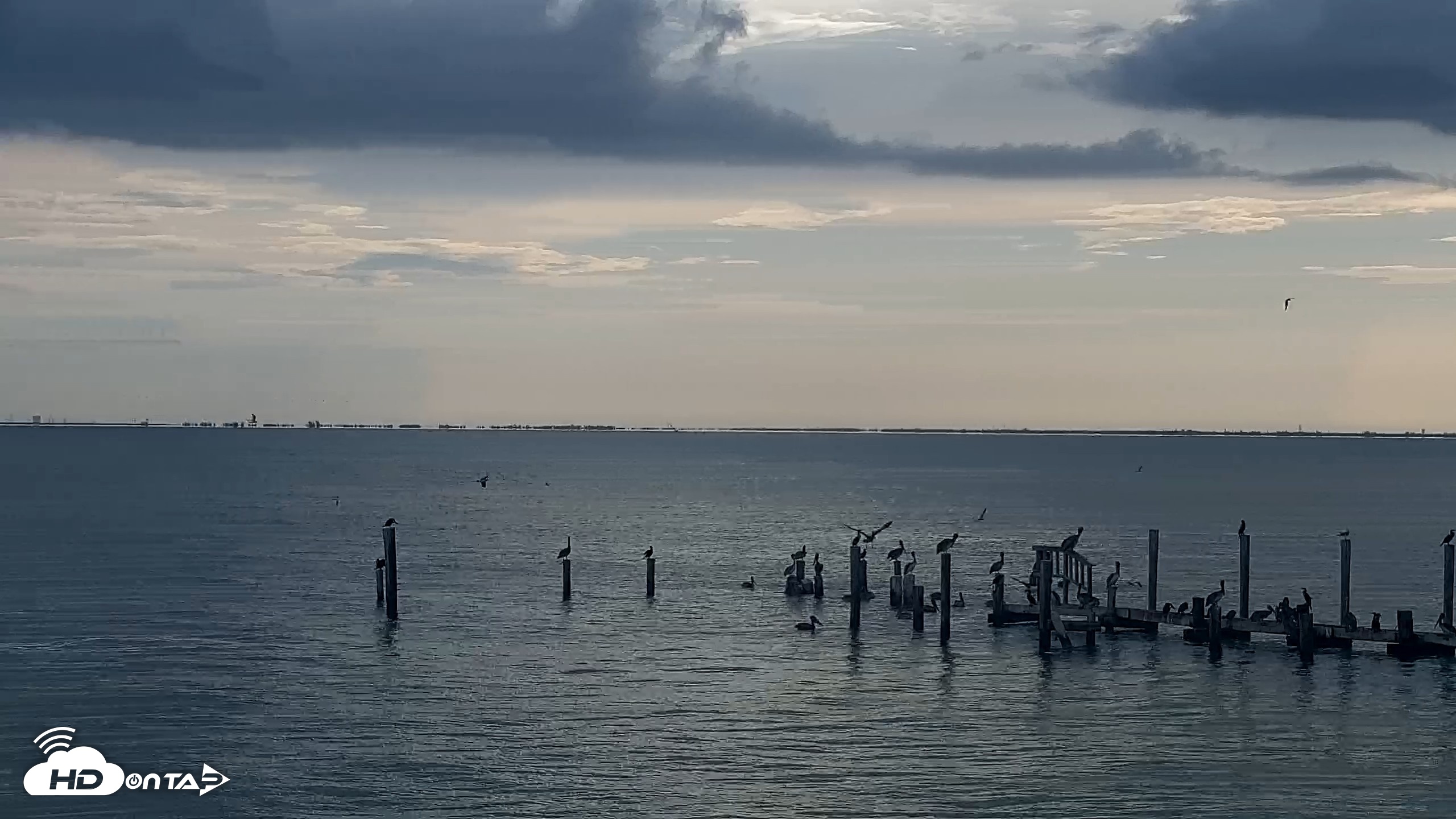 Snapshot of Anna Maria Island Florida Live Webcam taken Aug 23, 2026, 8:52am EDT