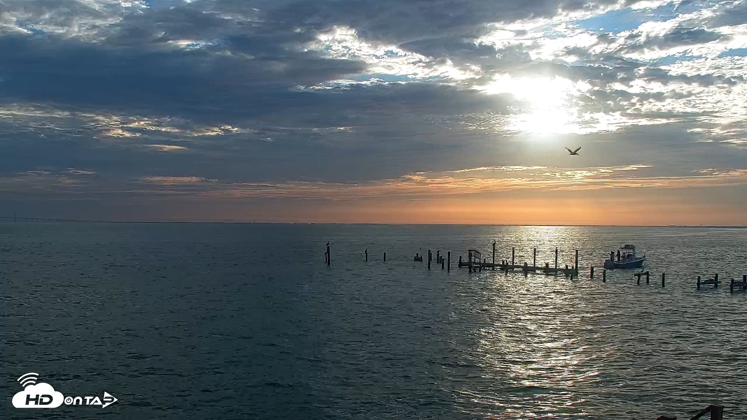 Snapshot of Anna Maria Island Florida Live Webcam taken Aug 20, 2026, 7:42am EDT