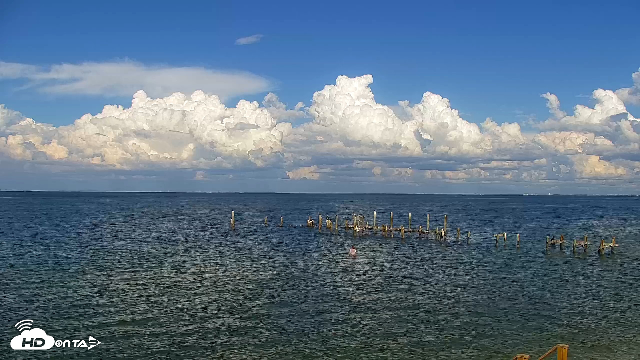 Snapshot of Anna Maria Island Florida Live Webcam taken Sep 21, 2026, 5:03pm EDT