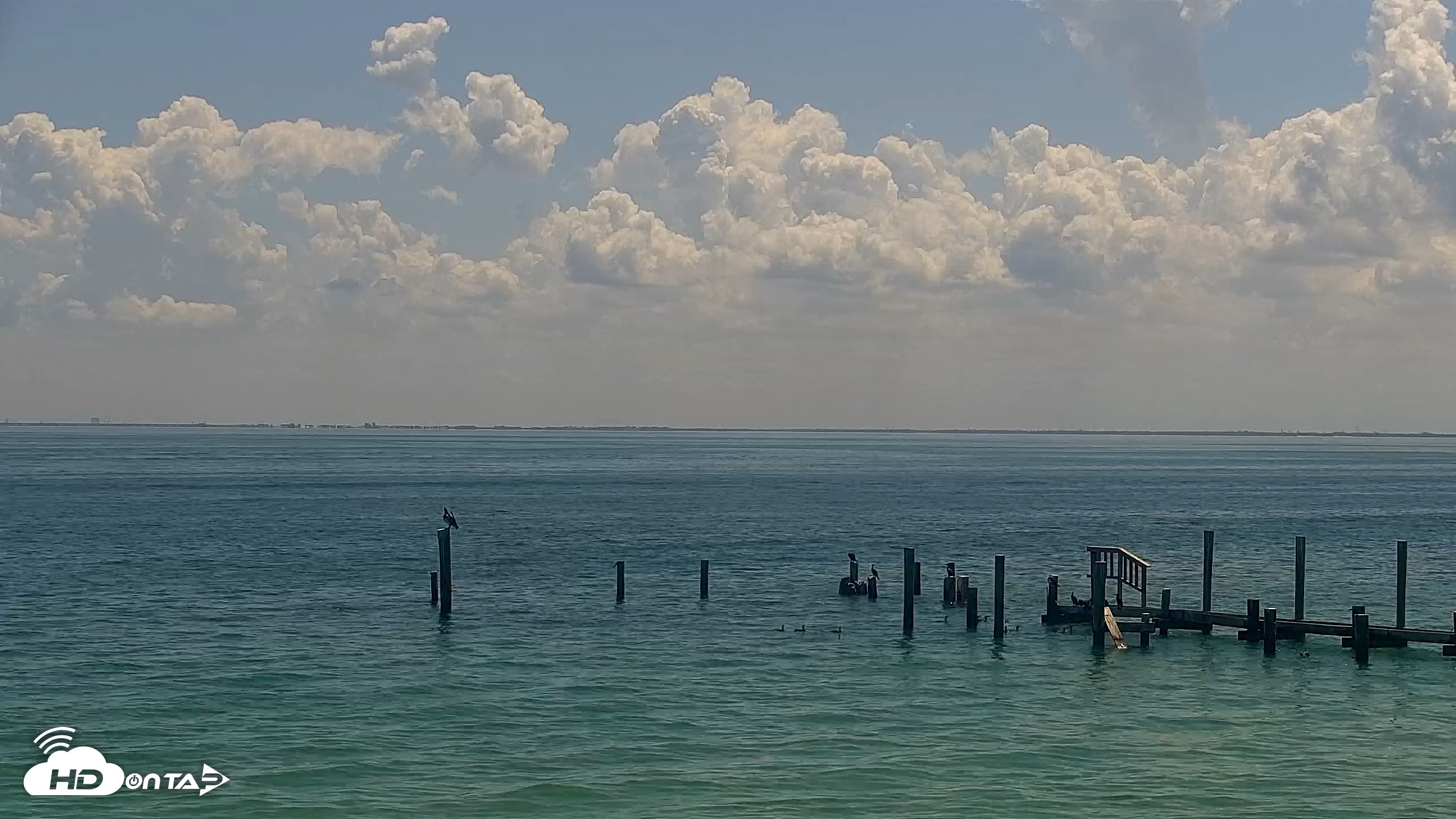 Snapshot of Anna Maria Island Florida Live Webcam taken Jun 12, 2026, 11:38am EDT