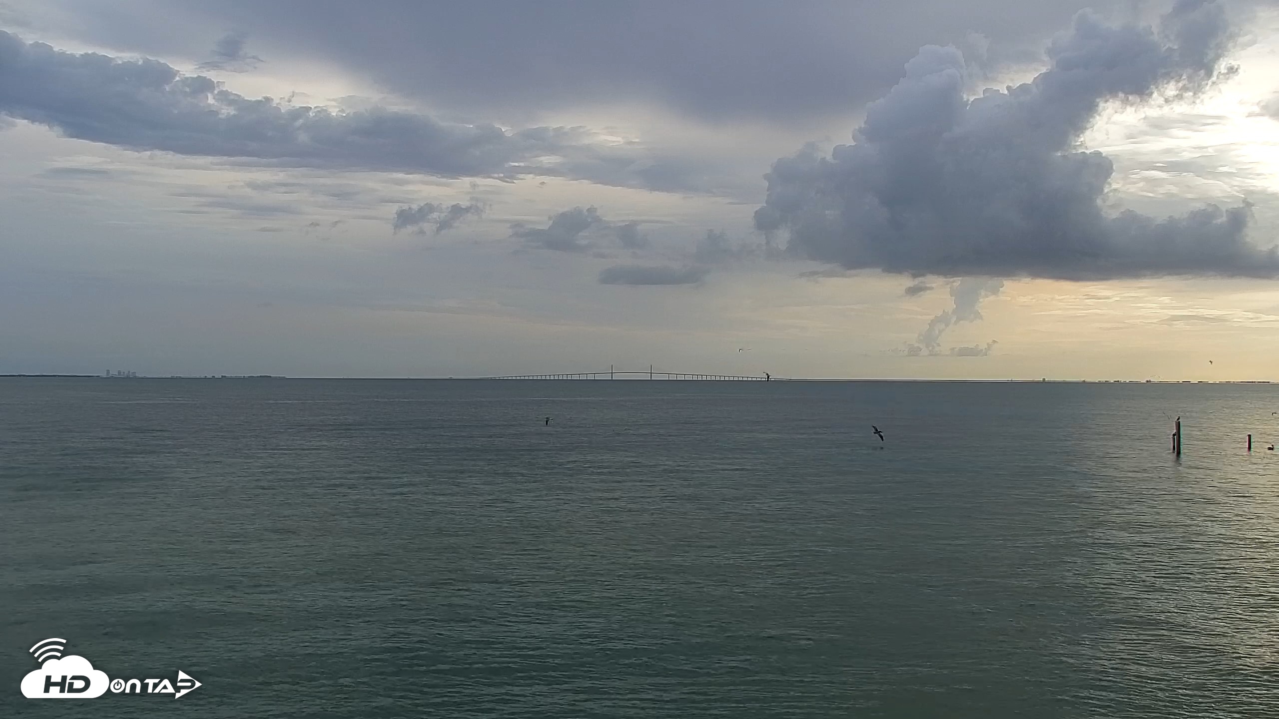 Snapshot of Anna Maria Island Florida Live Webcam taken Aug 23, 2026, 8:53am EDT