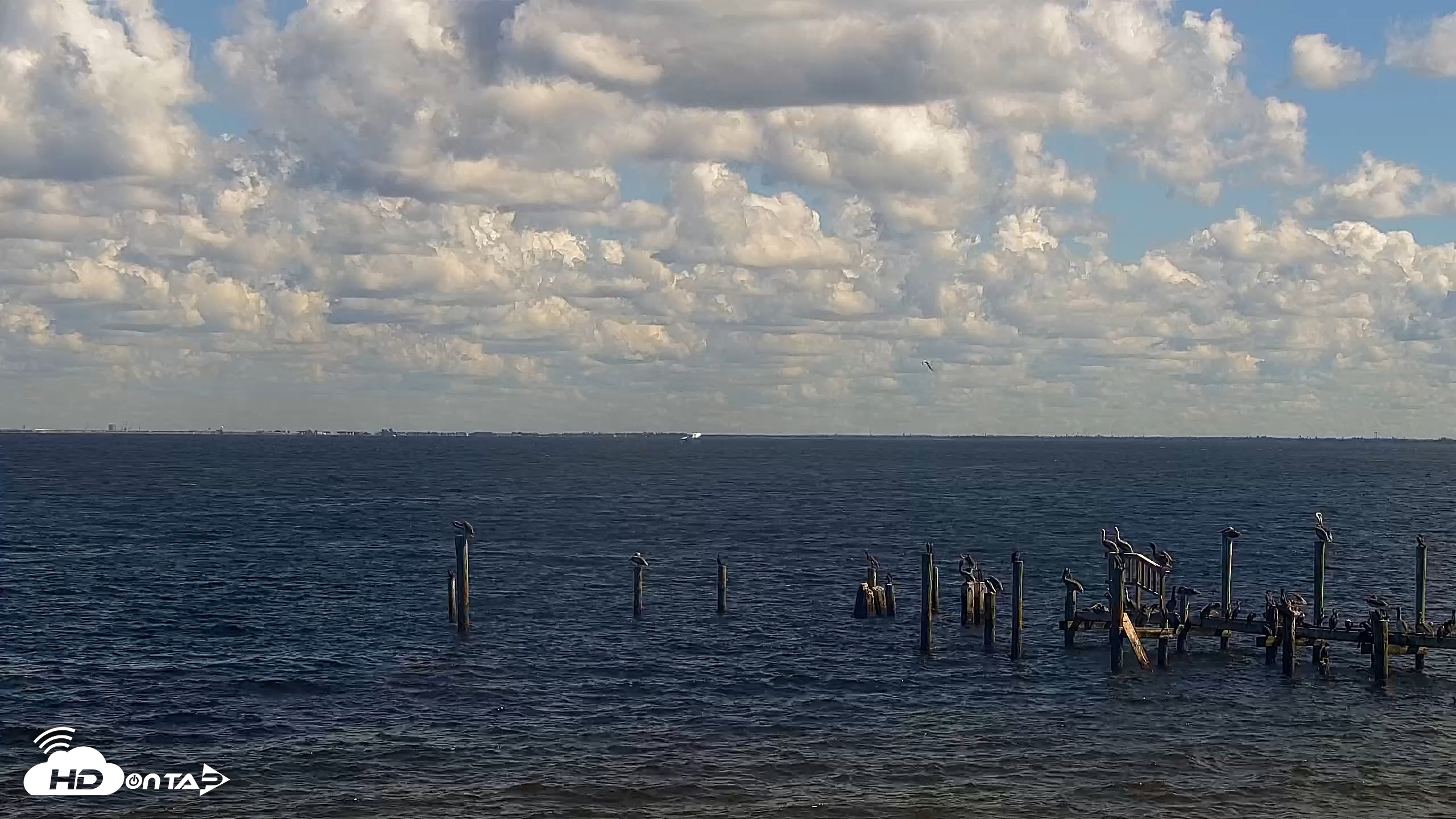 Snapshot of Anna Maria Island Florida Live Webcam taken Oct 14, 2026, 12:04pm EDT