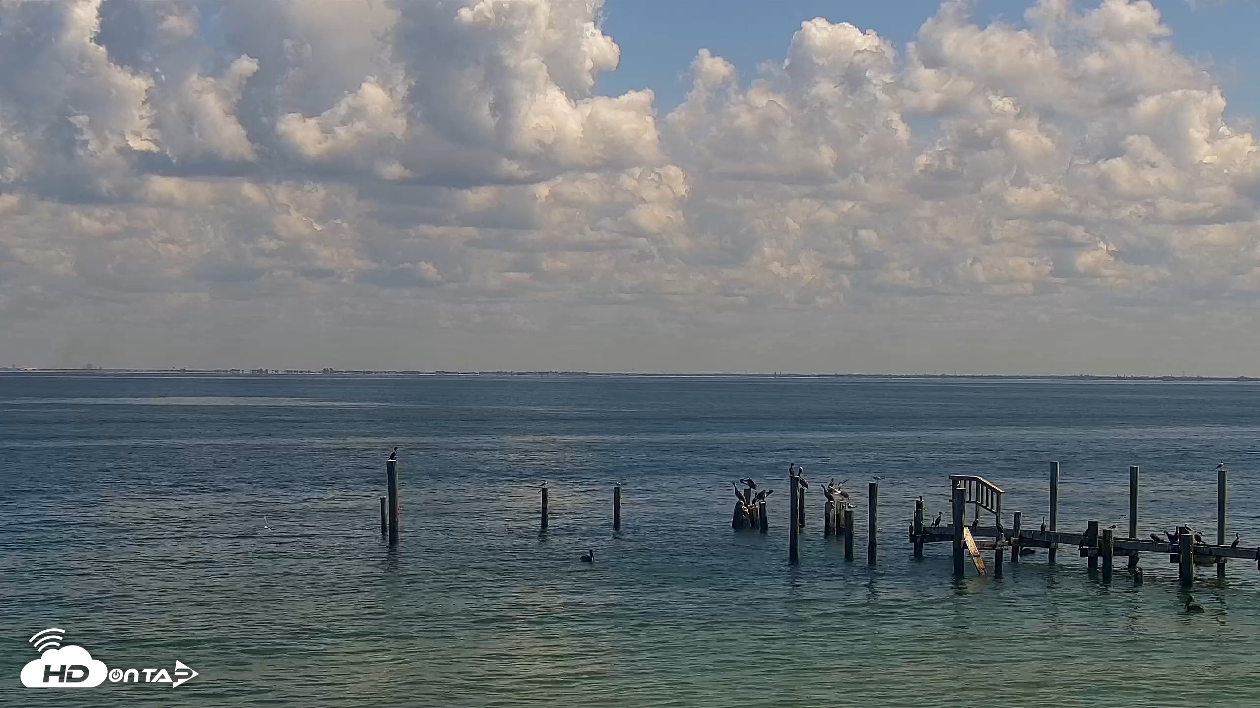 Snapshot of Anna Maria Island Florida Live Webcam taken Sep 15, 2026, 12:12pm EDT