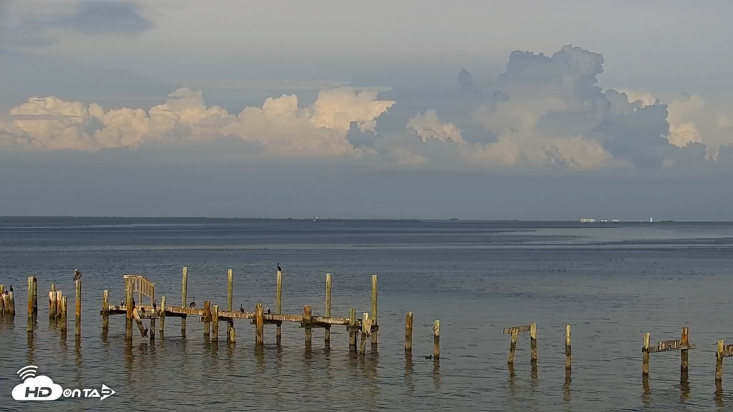 Snapshot of Anna Maria Island Florida Live Webcam taken Aug 26, 2026, 6:46pm EDT