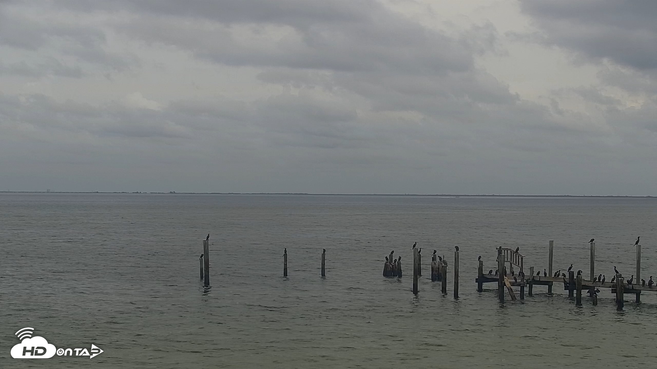 Snapshot of Anna Maria Island Florida Live Webcam taken Oct 2, 2026, 1:25pm EDT