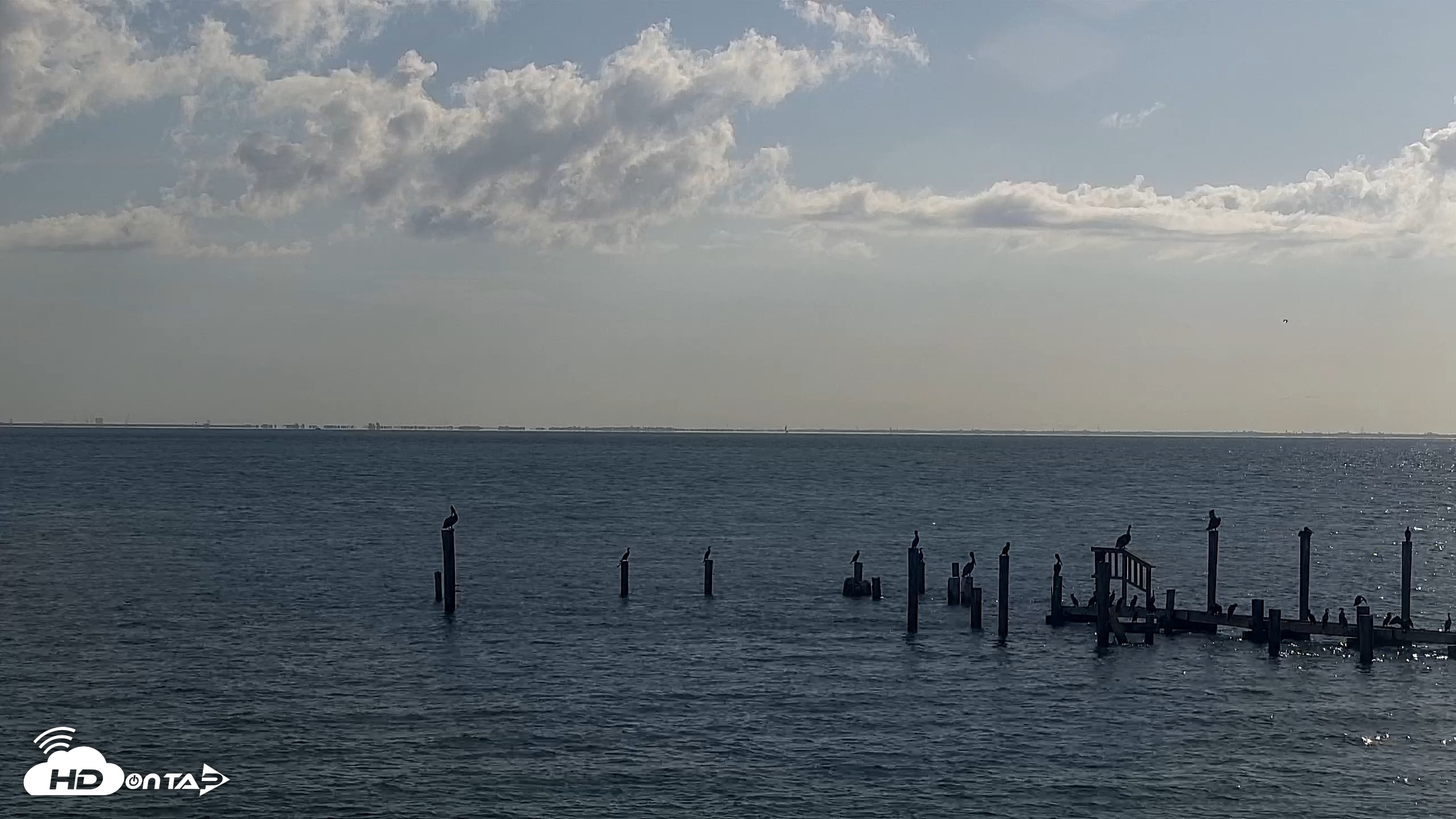 Snapshot of Anna Maria Island Florida Live Webcam taken Aug 25, 2026, 8:57am EDT