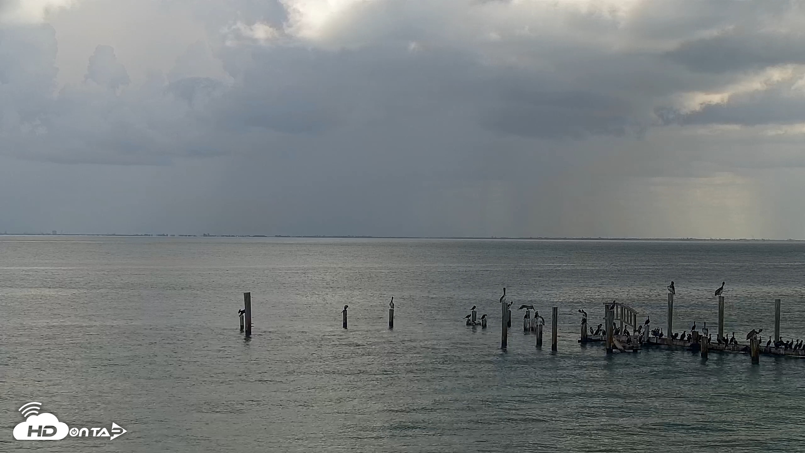 Snapshot of Anna Maria Island Florida Live Webcam taken Aug 27, 2026, 12:01pm EDT