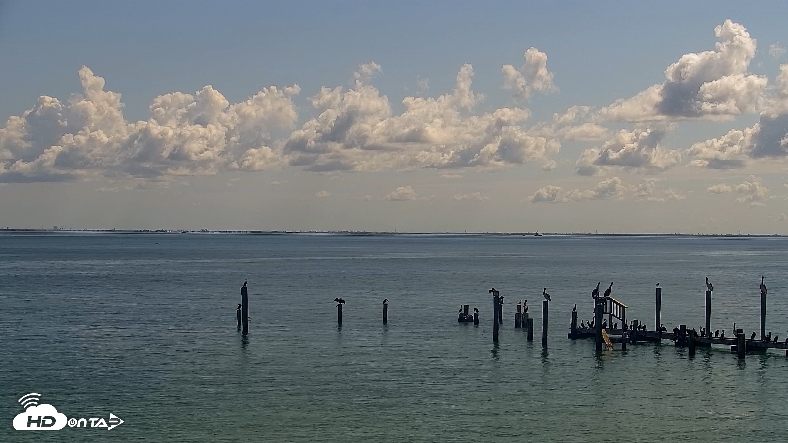Snapshot of Anna Maria Island Florida Live Webcam taken Aug 24, 2026, 10:45am EDT