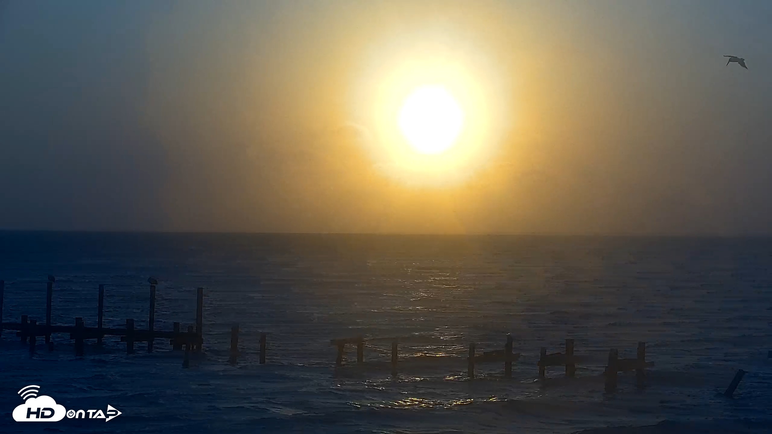 Snapshot of Anna Maria Island Florida Live Webcam taken Mar 25, 2026, 7:47am EDT