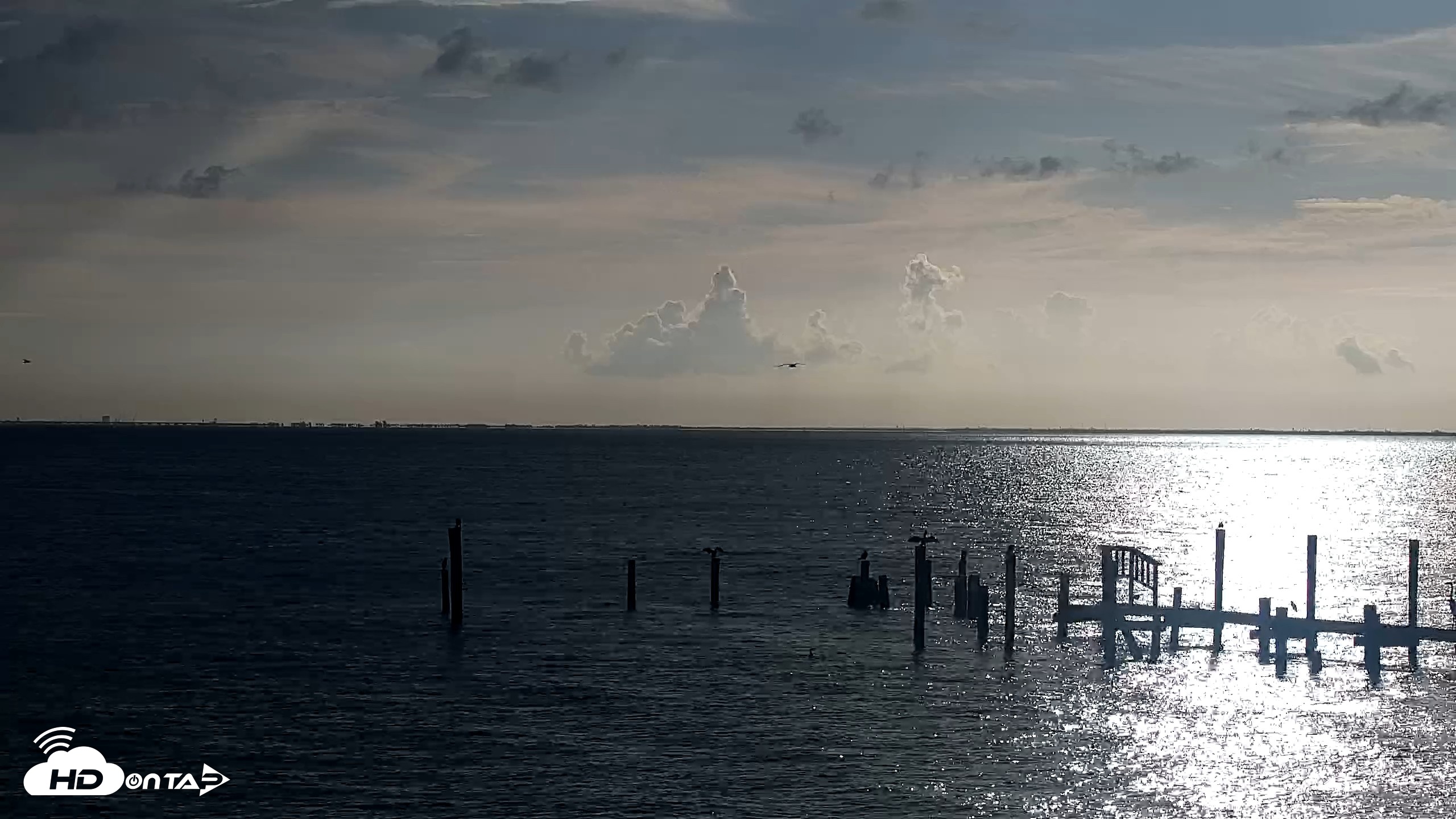 Snapshot of Anna Maria Island Florida Live Webcam taken Aug 3, 2026, 8:07am EDT