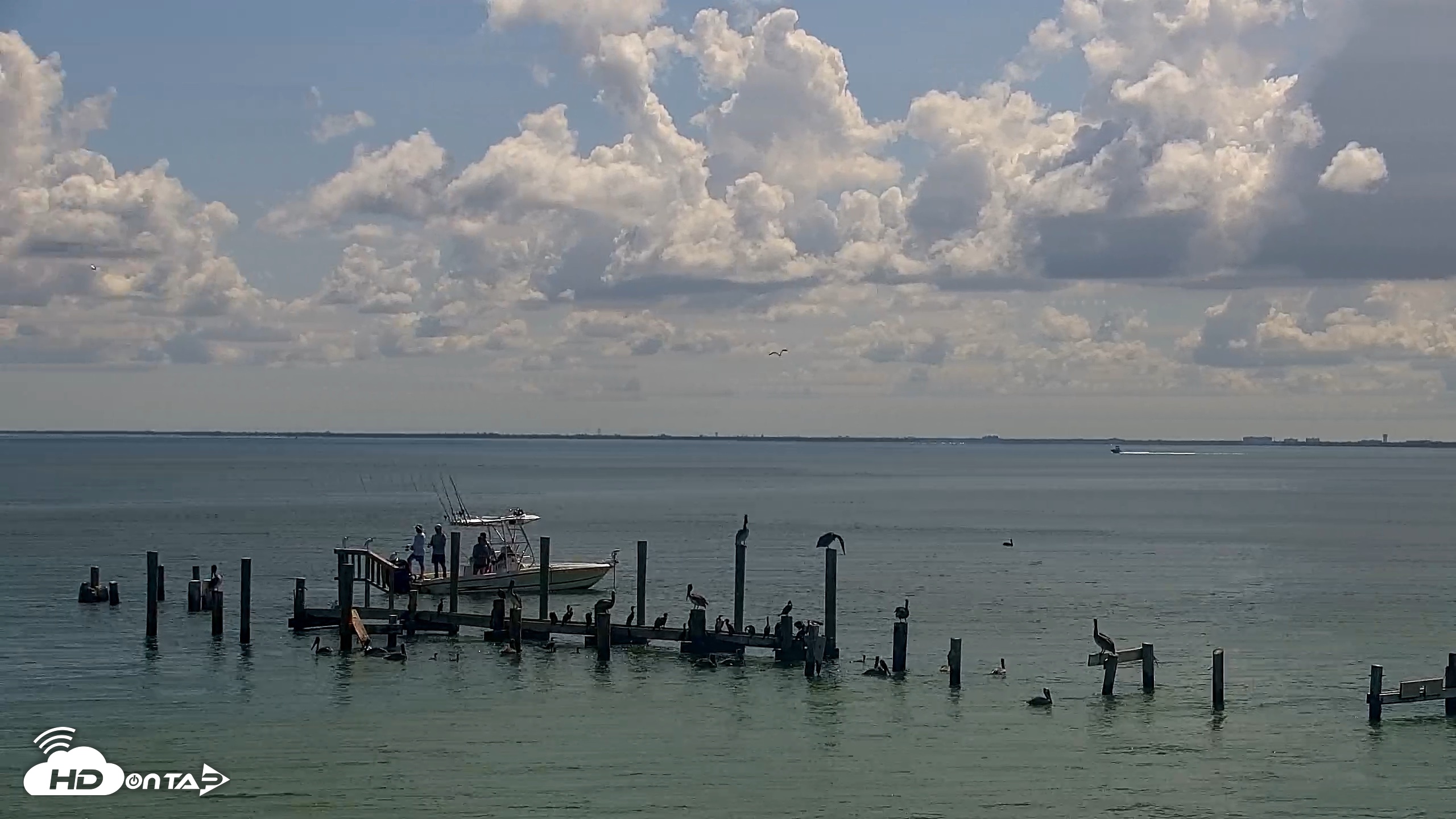 Snapshot of Anna Maria Island Florida Live Webcam taken Aug 24, 2026, 11:17am EDT
