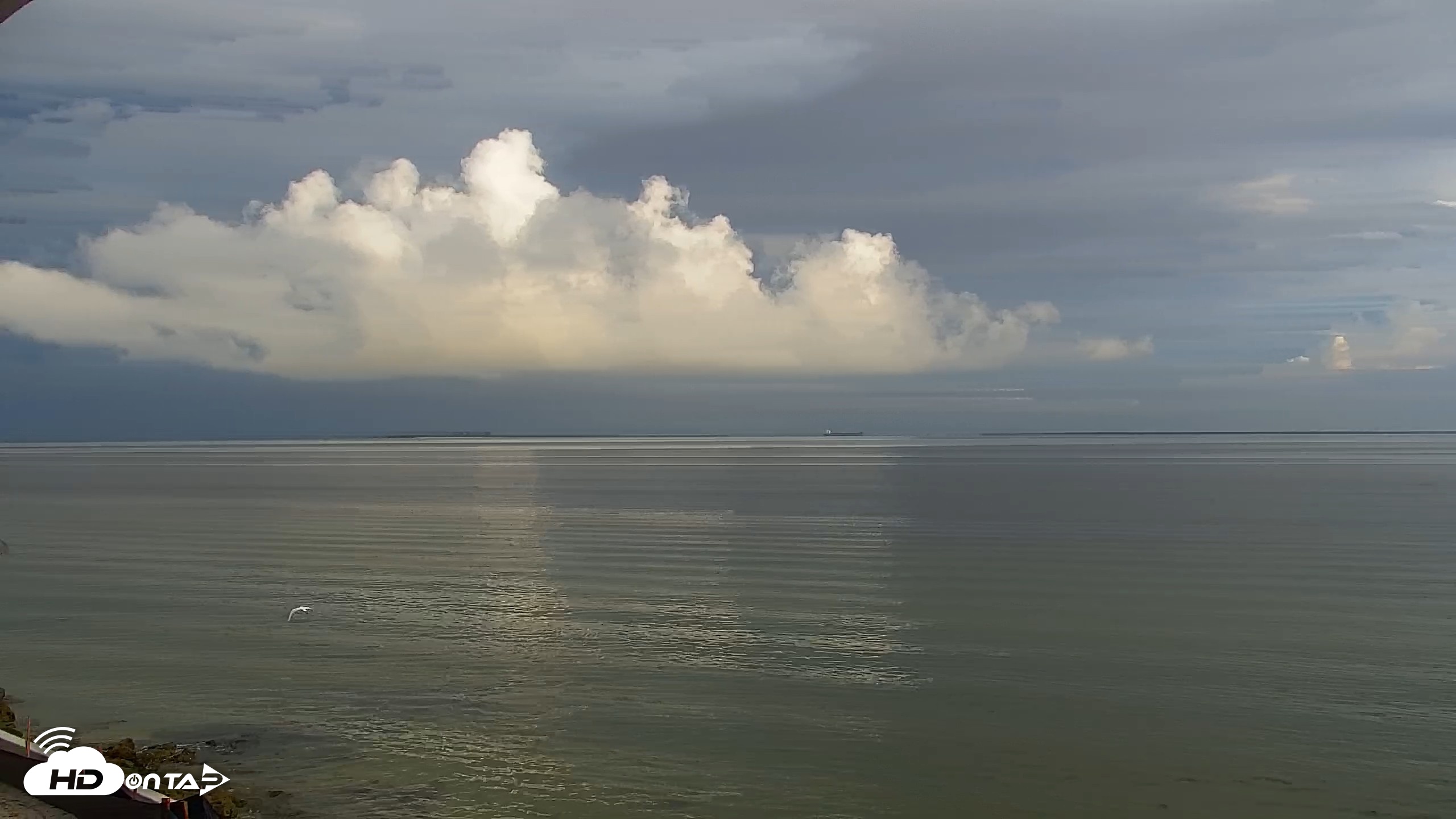Snapshot of Anna Maria Island Florida Live Webcam taken Oct 17, 2026, 8:23am EDT