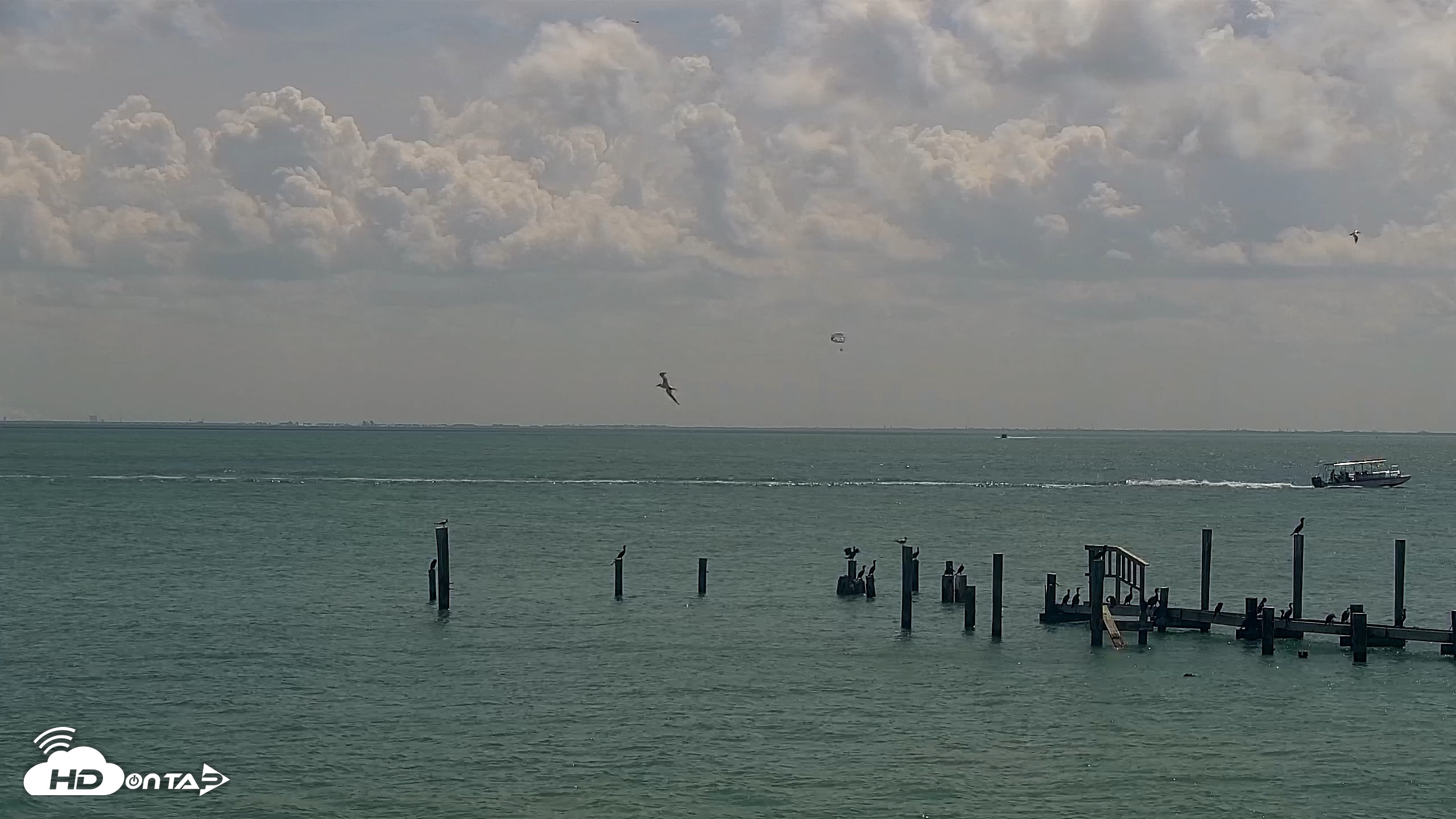 Snapshot of Anna Maria Island Florida Live Webcam taken Jun 18, 2026, 11:07am EDT