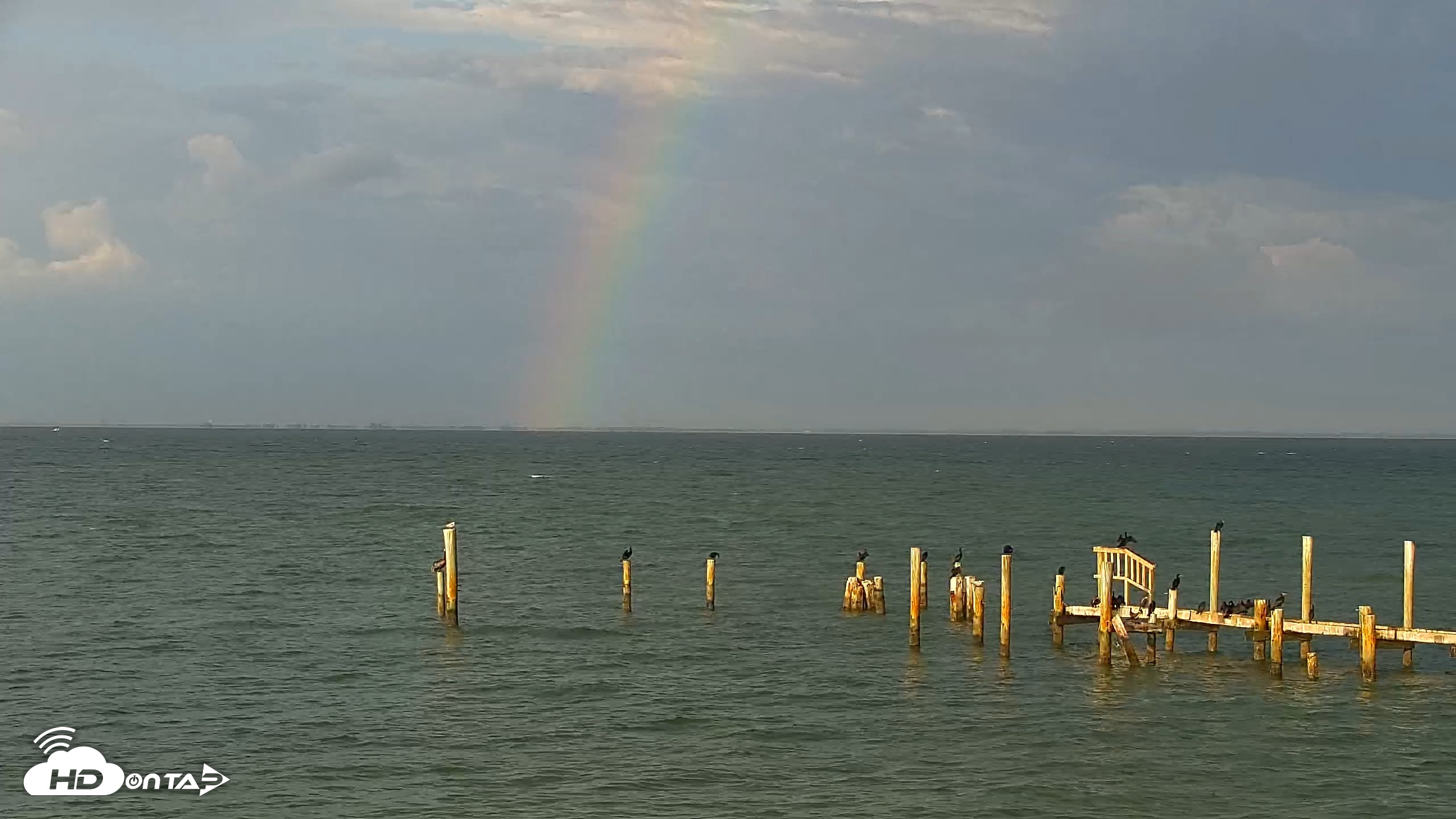 Snapshot of Anna Maria Island Florida Live Webcam taken Jul 24, 2026, 7:32pm EDT