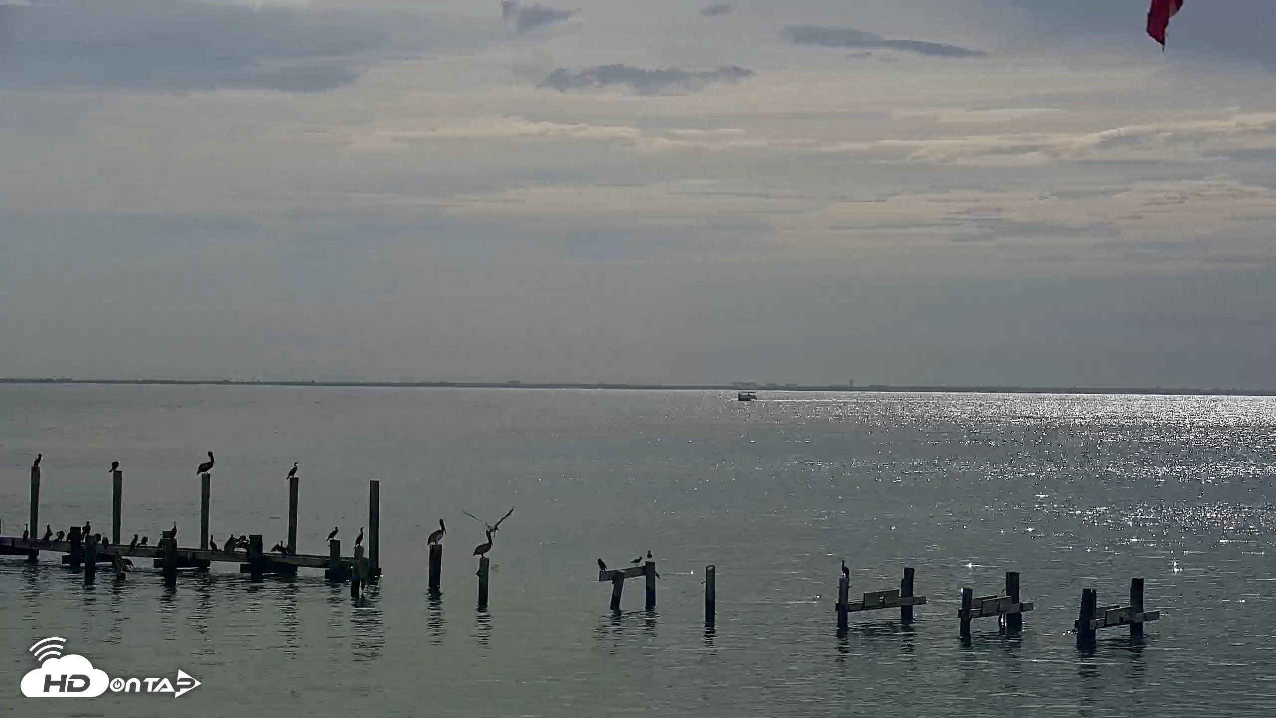 Snapshot of Anna Maria Island Florida Live Webcam taken Aug 23, 2026, 9:48am EDT