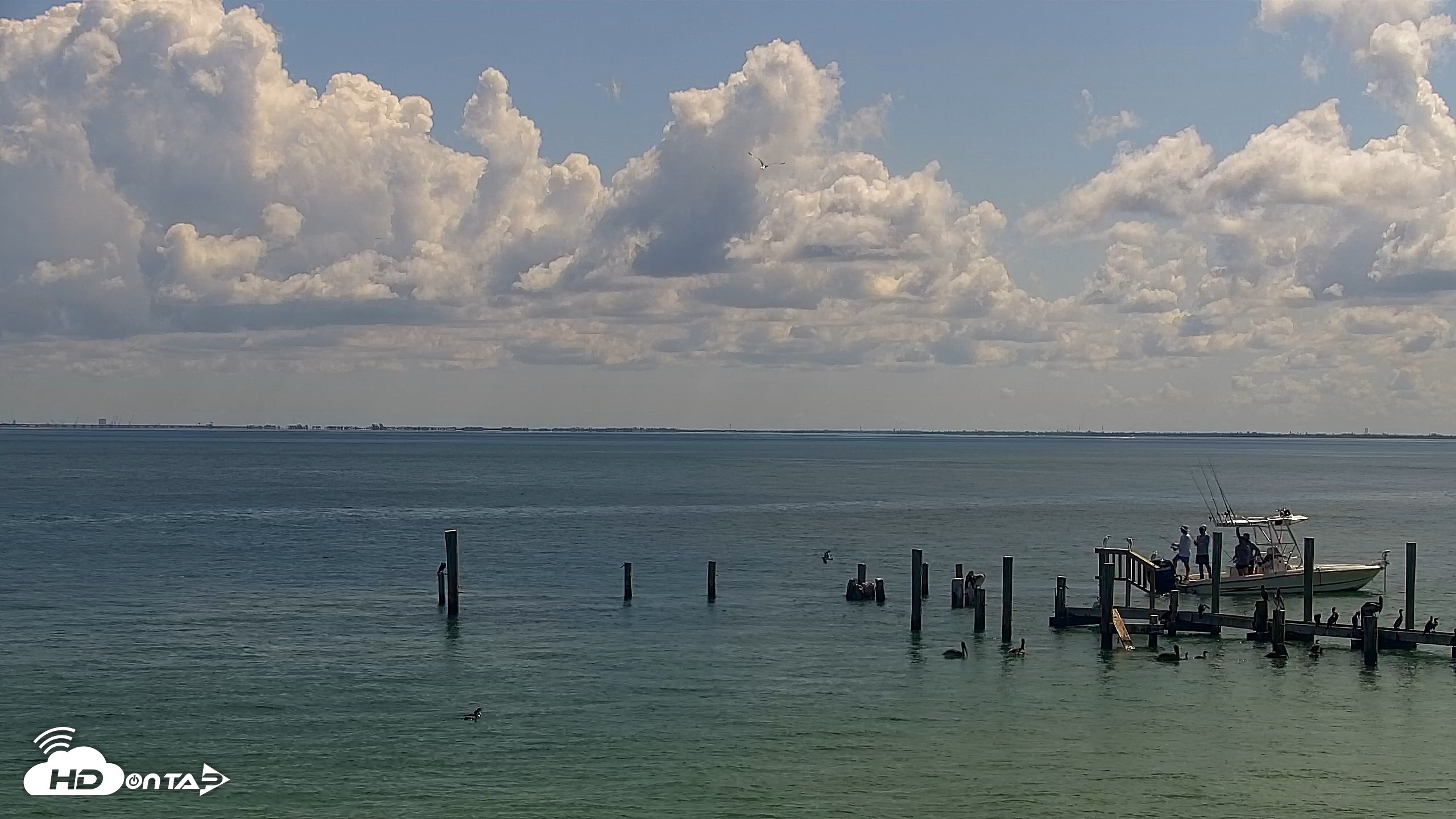 Snapshot of Anna Maria Island Florida Live Webcam taken Aug 24, 2026, 11:17am EDT
