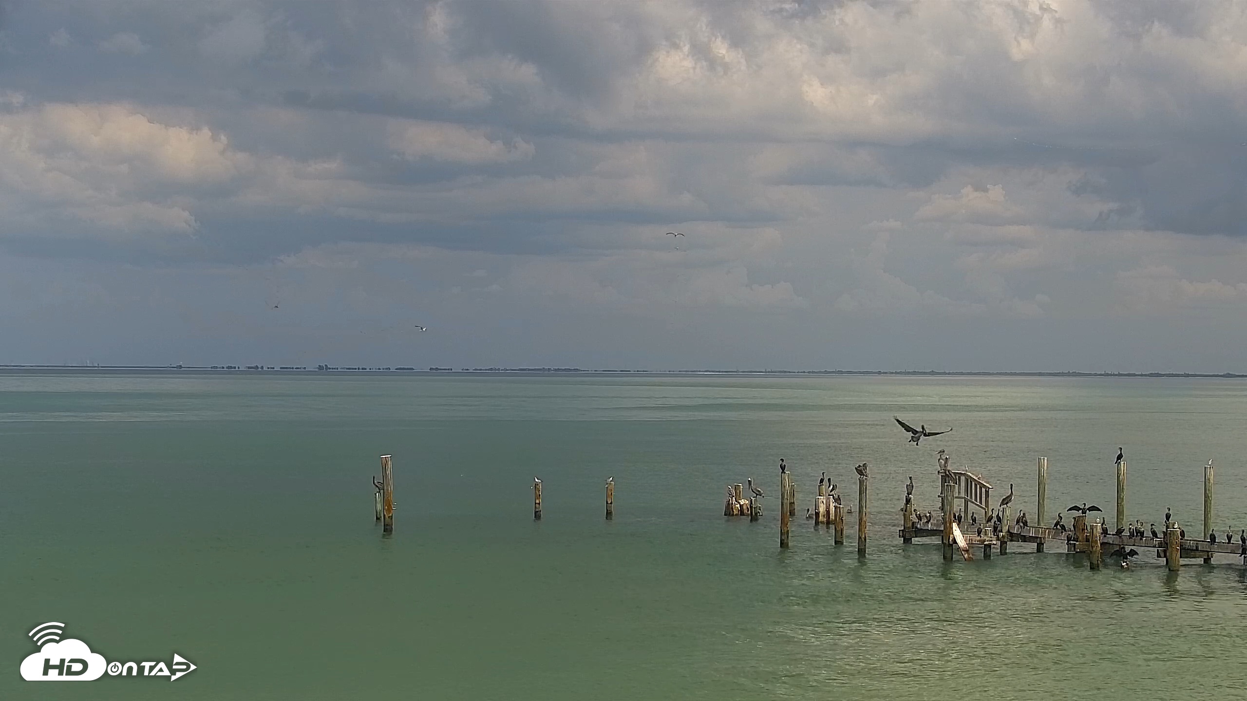 Snapshot of Anna Maria Island Florida Live Webcam taken Sep 15, 2026, 2:50pm EDT