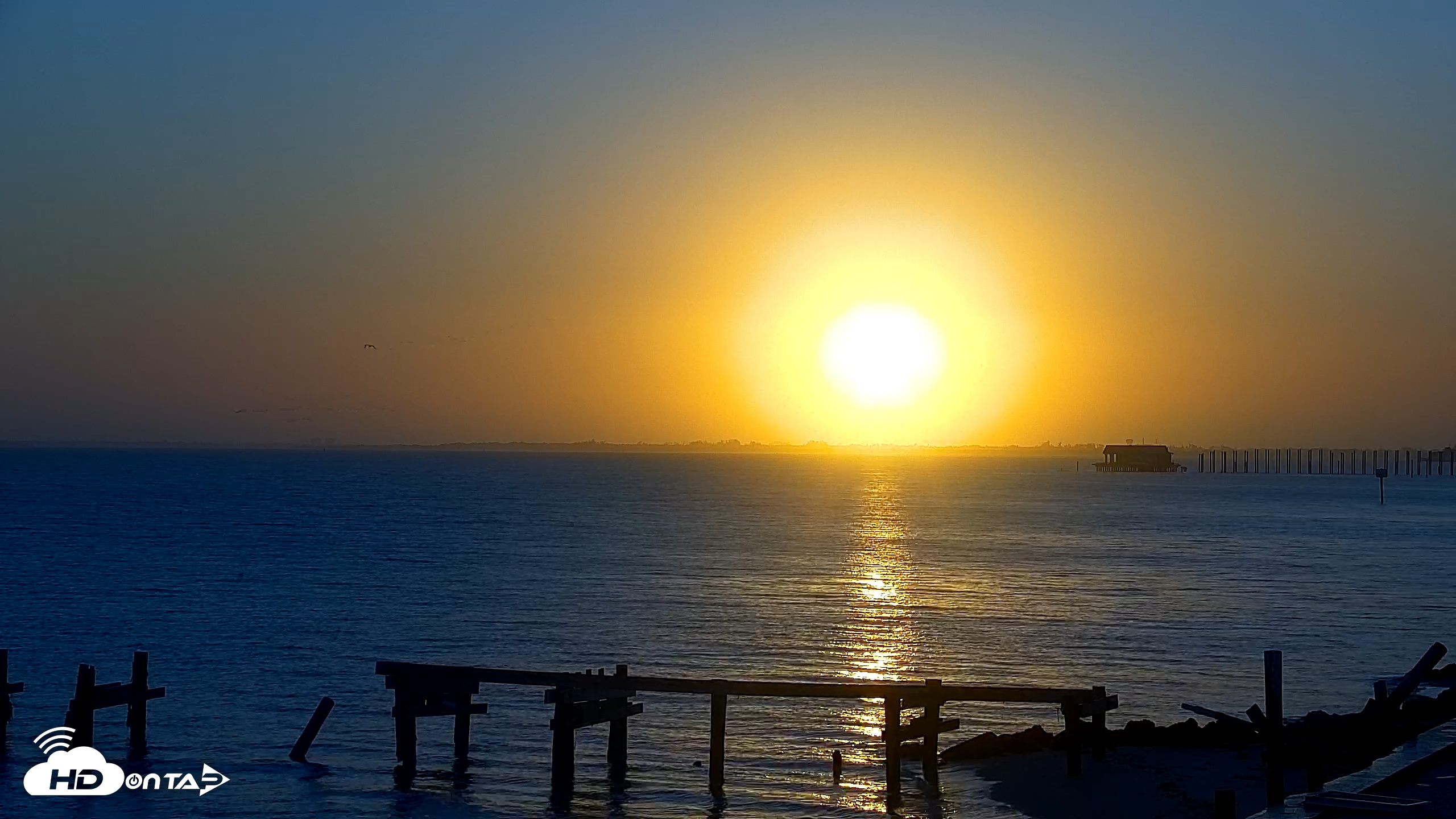 Snapshot of Anna Maria Island Florida Live Webcam taken Feb 7, 2026, 7:24am EST