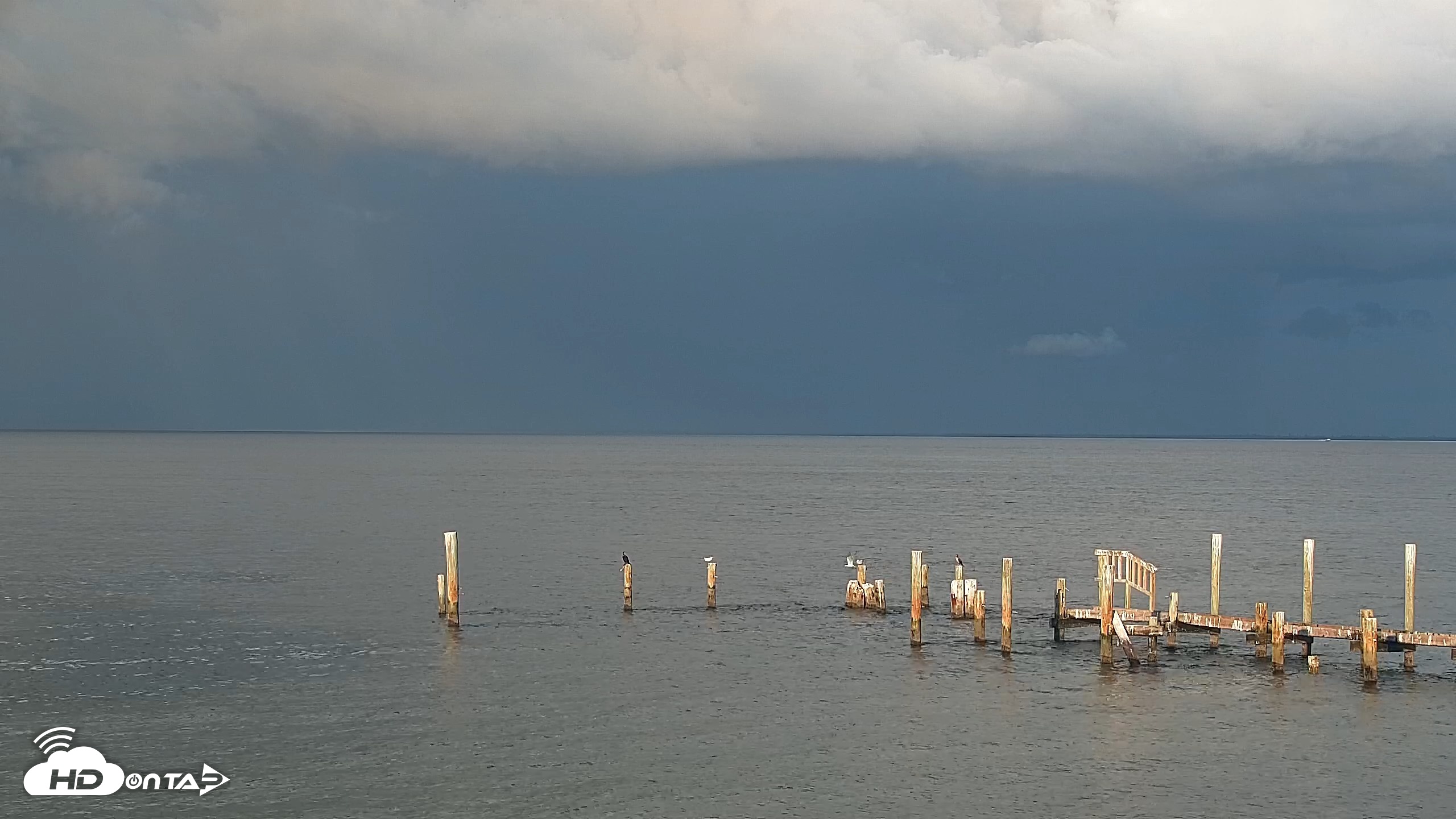 Snapshot of Anna Maria Island Florida Live Webcam taken Sep 21, 2026, 6:46pm EDT