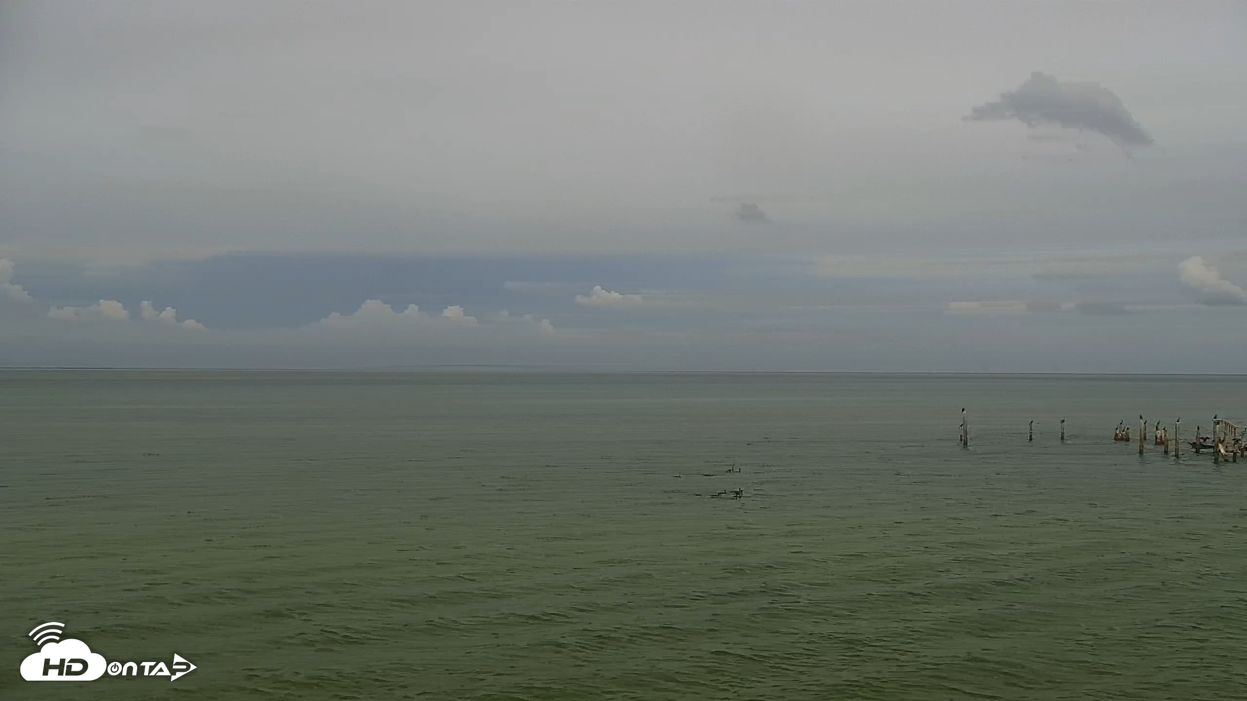 Snapshot of Anna Maria Island Florida Live Webcam taken Oct 2, 2026, 3:59pm EDT