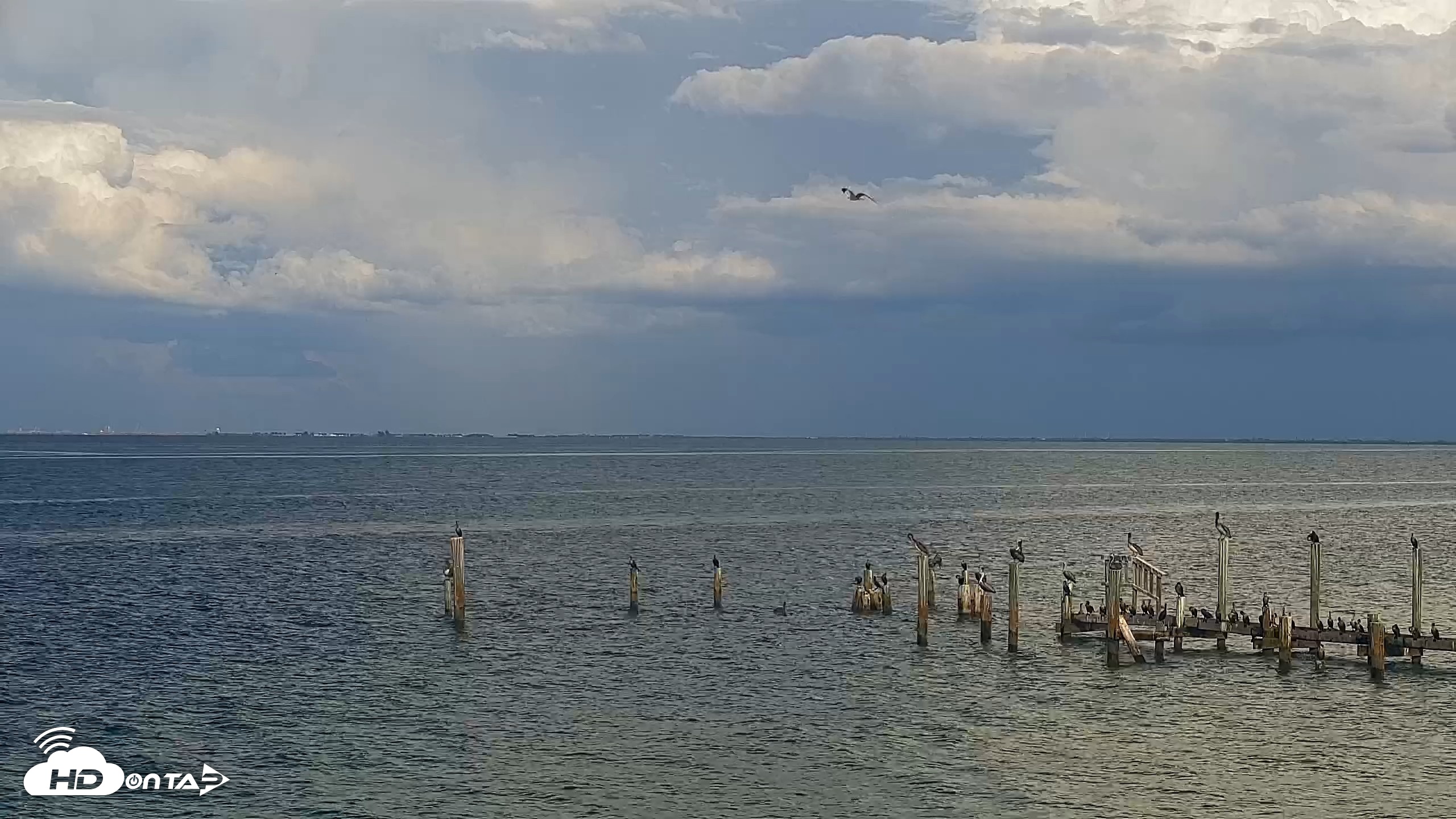 Snapshot of Anna Maria Island Florida Live Webcam taken Oct 16, 2026, 4:45pm EDT