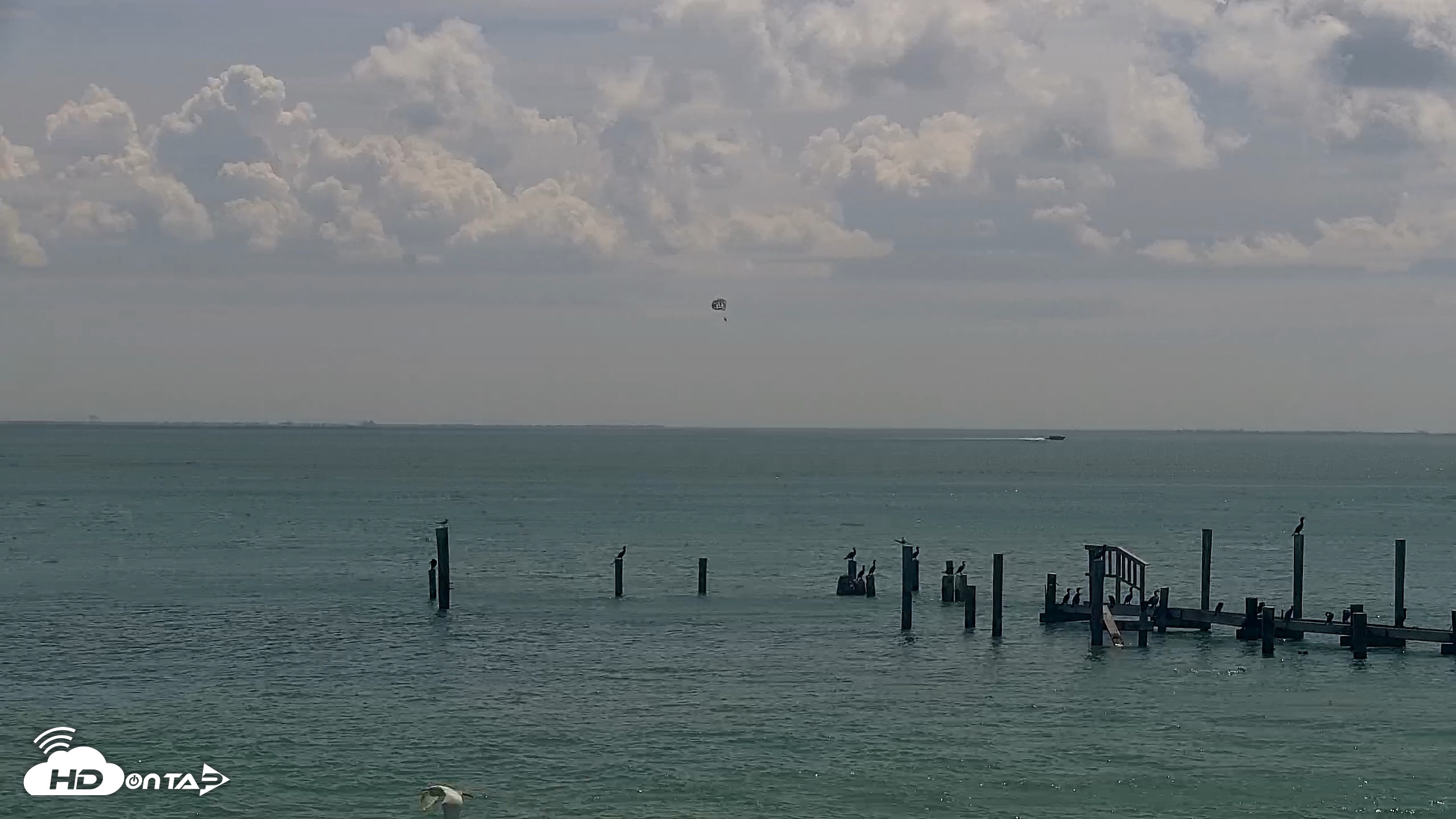 Snapshot of Anna Maria Island Florida Live Webcam taken Jun 18, 2026, 11:07am EDT