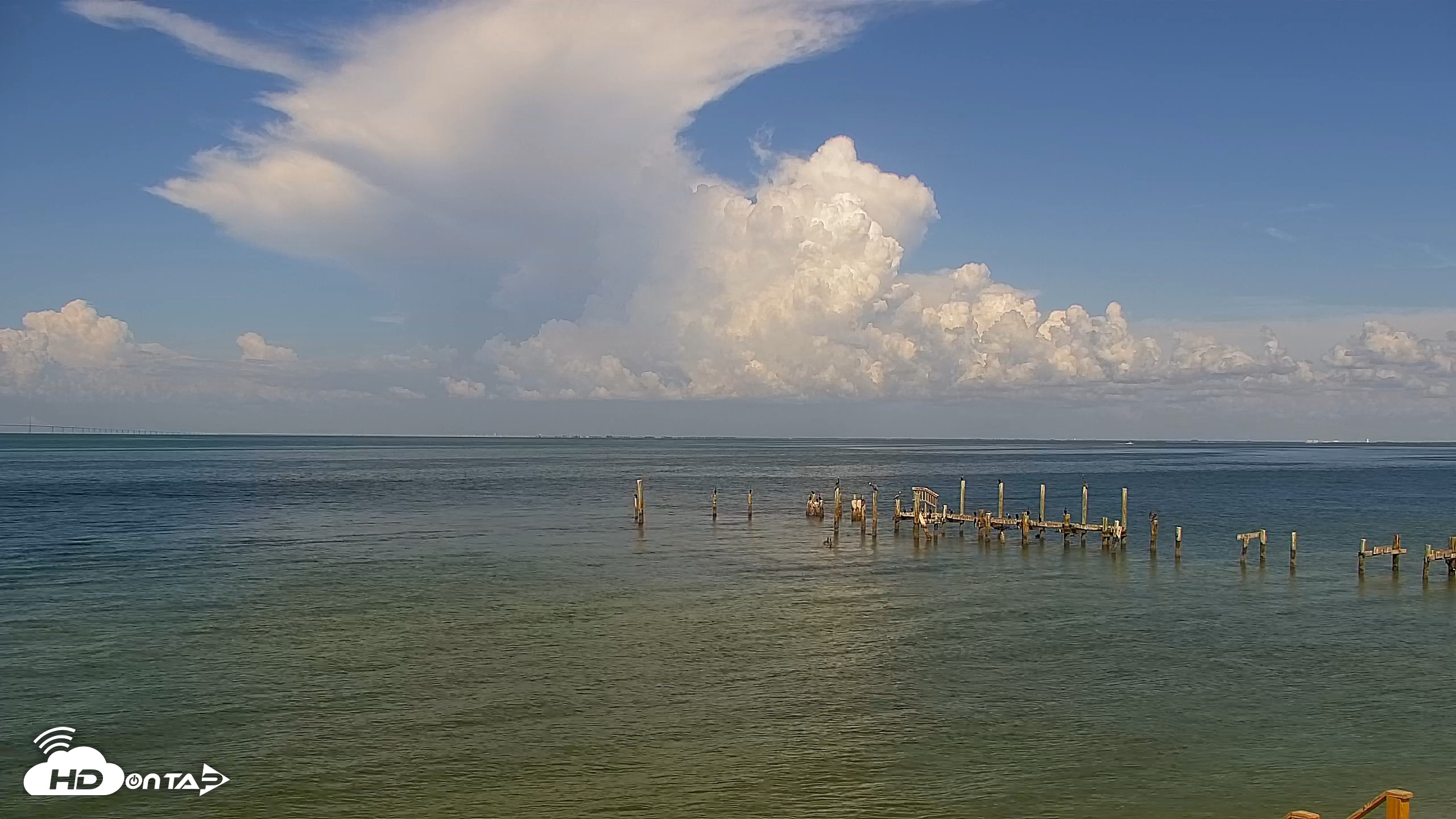 Snapshot of Anna Maria Island Florida Live Webcam taken Aug 26, 2026, 4:37pm EDT