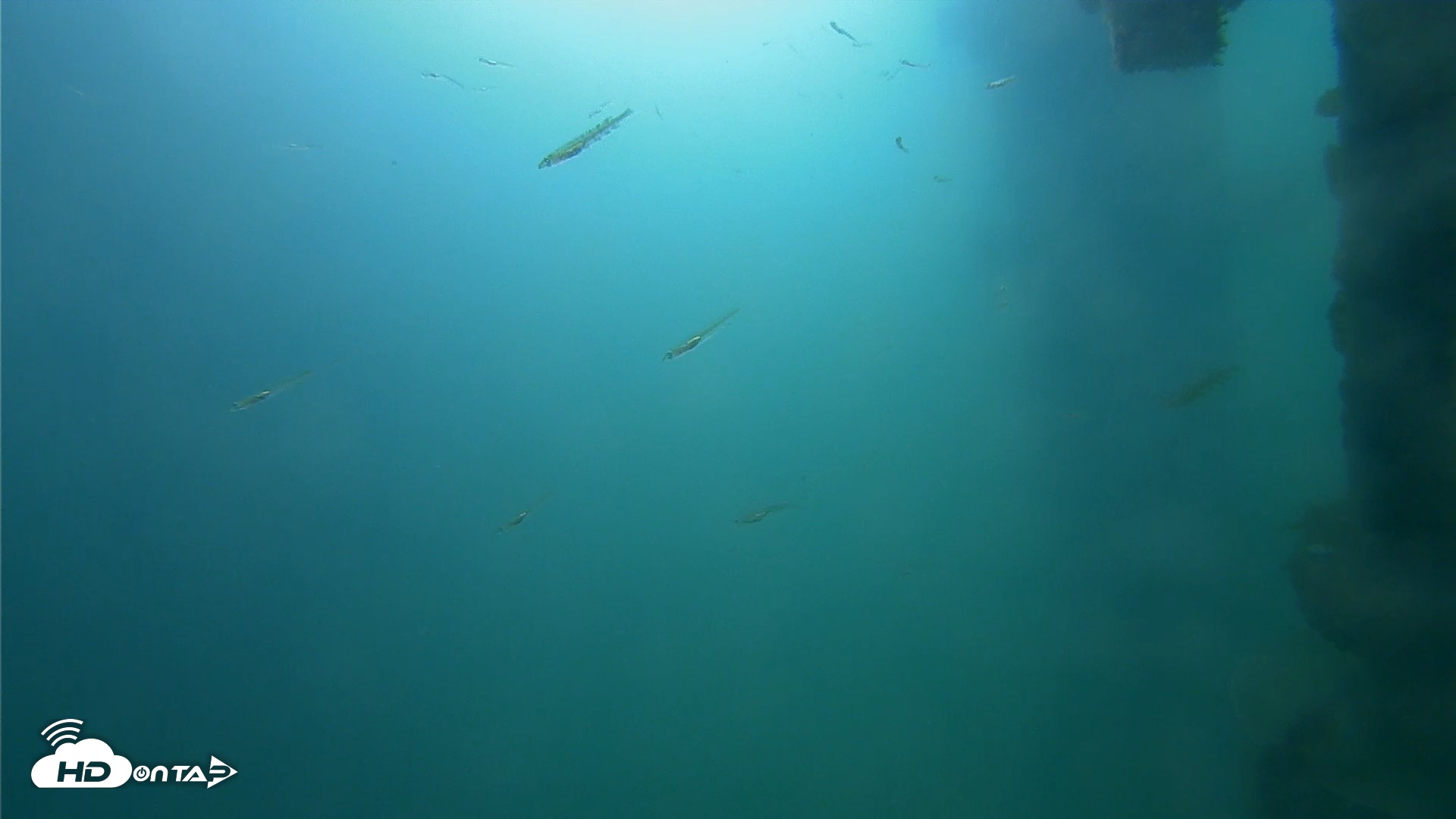 Snapshot of Dana Point Harbor Laguna Cliffs Resort Live Webcam taken Apr 14, 2026, 9:19am PDT