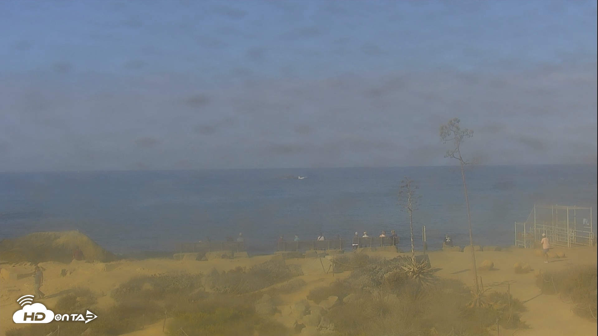 Snapshot of Dana Point Harbor Laguna Cliffs Resort Live Webcam taken Sep 3, 2026, 9:07am PDT