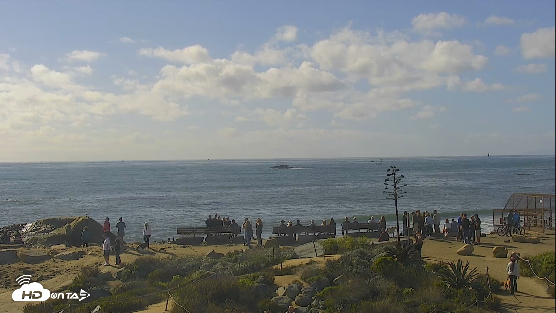 Snapshot of Dana Point Harbor Laguna Cliffs Resort Live Webcam taken Dec 27, 2025, 12:48pm PST