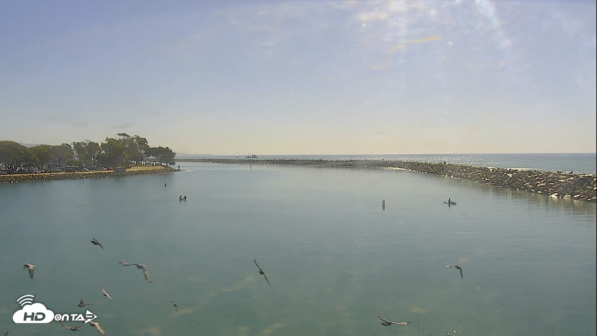 Snapshot of Dana Point Harbor Laguna Cliffs Resort Live Webcam taken Oct 19, 2026, 11:07am PDT