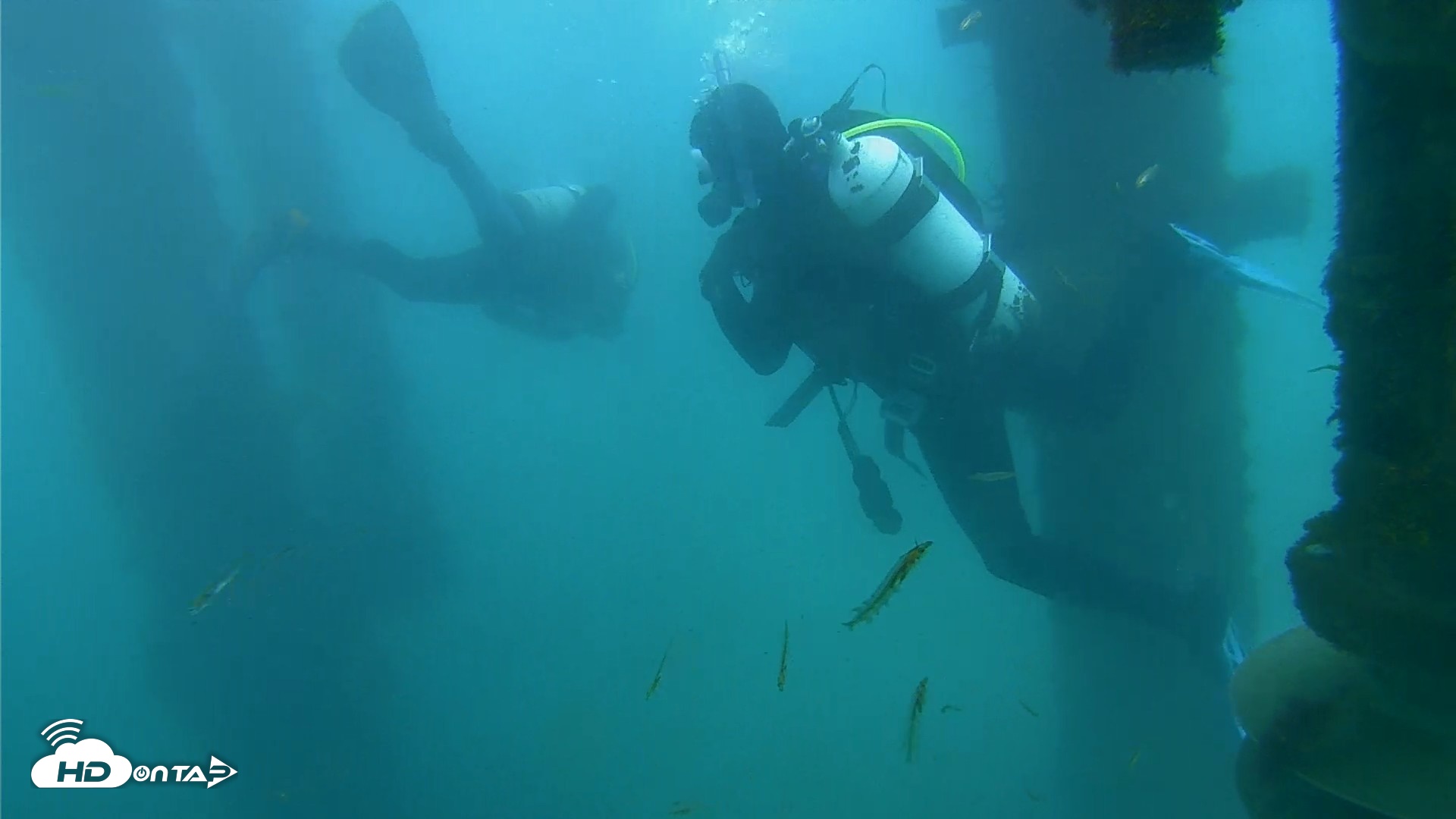 Snapshot of Dana Point Harbor Laguna Cliffs Resort Live Webcam taken Apr 13, 2026, 11:19am PDT