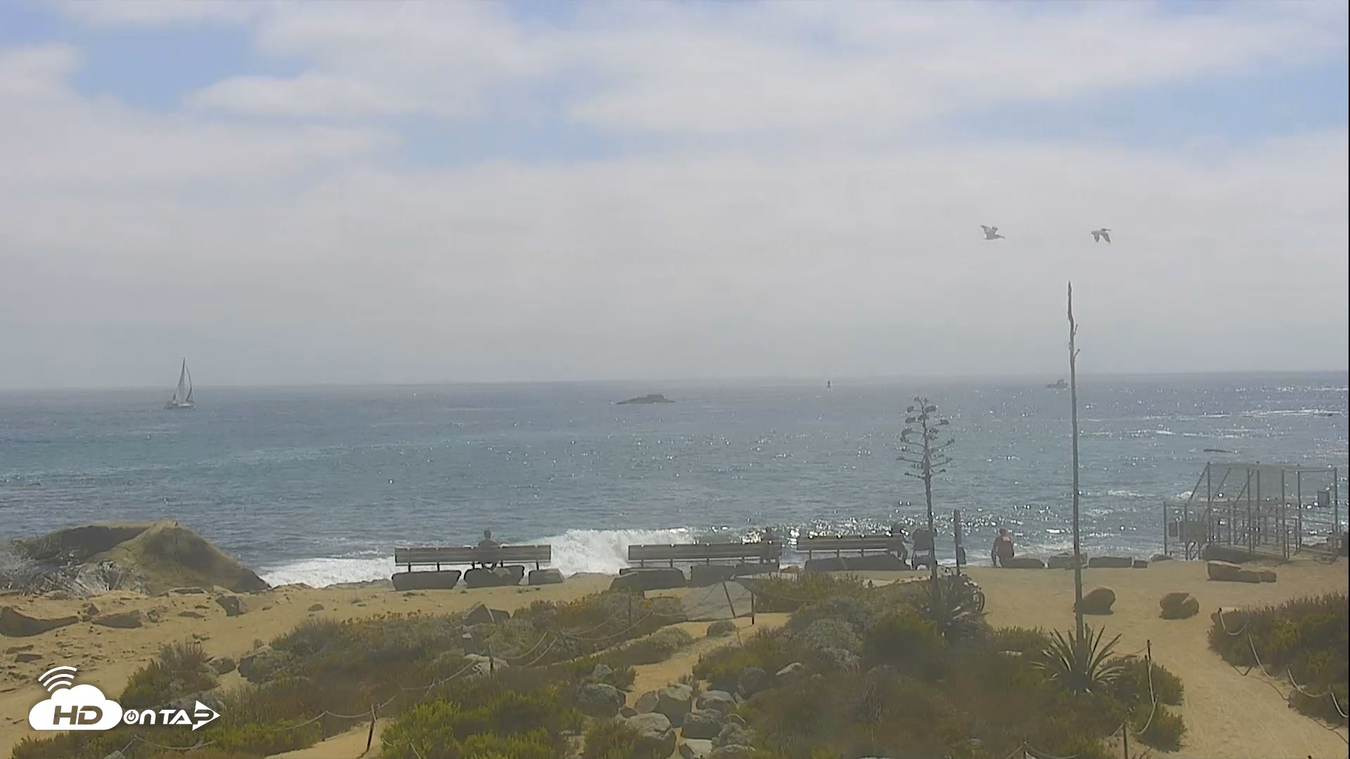 Snapshot of Dana Point Harbor Laguna Cliffs Resort Live Webcam taken Jun 17, 2026, 3:20pm PDT