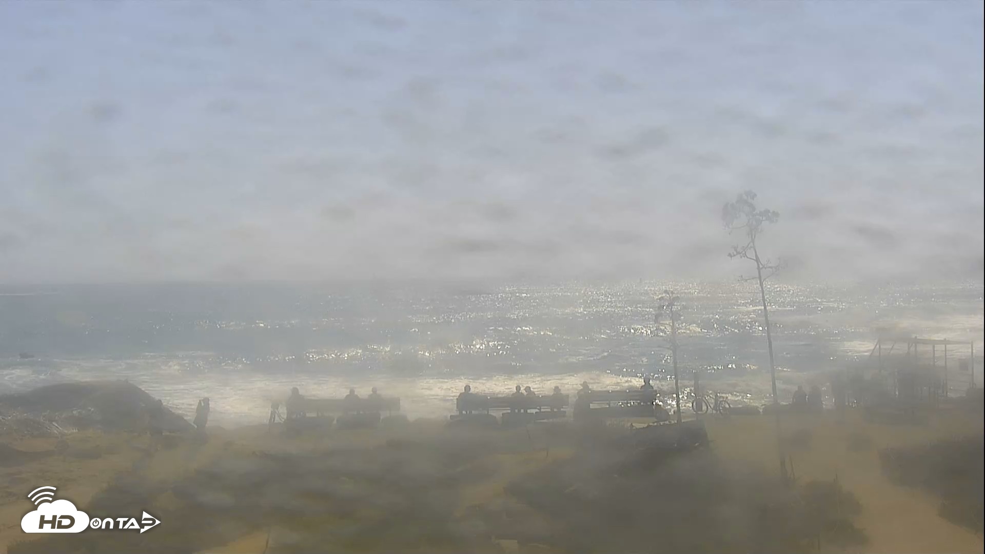 Snapshot of Dana Point Harbor Laguna Cliffs Resort Live Webcam taken Aug 30, 2026, 3:45pm PDT