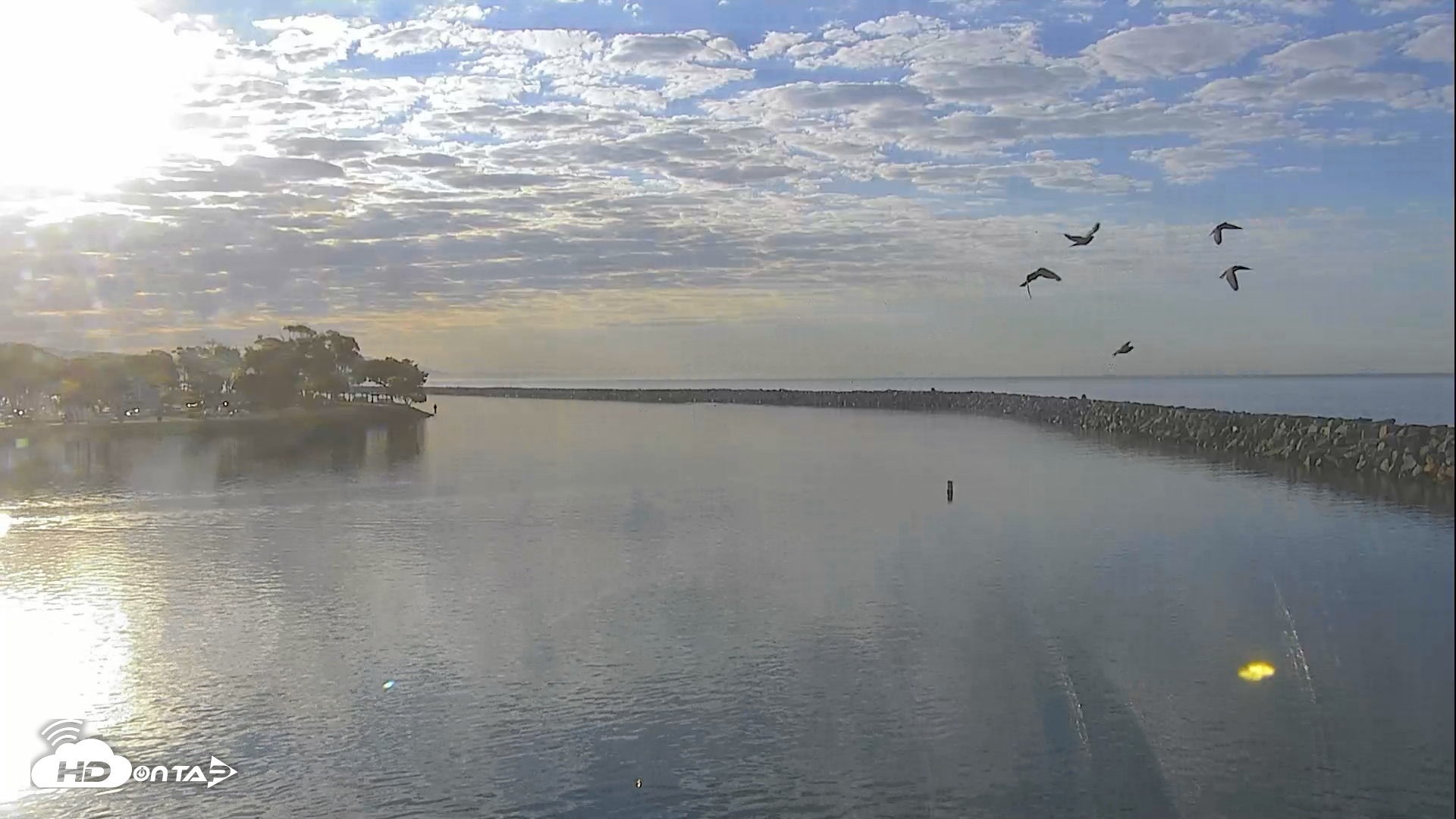 Snapshot of Dana Point Harbor Laguna Cliffs Resort Live Webcam taken Oct 6, 2026, 7:58am PDT