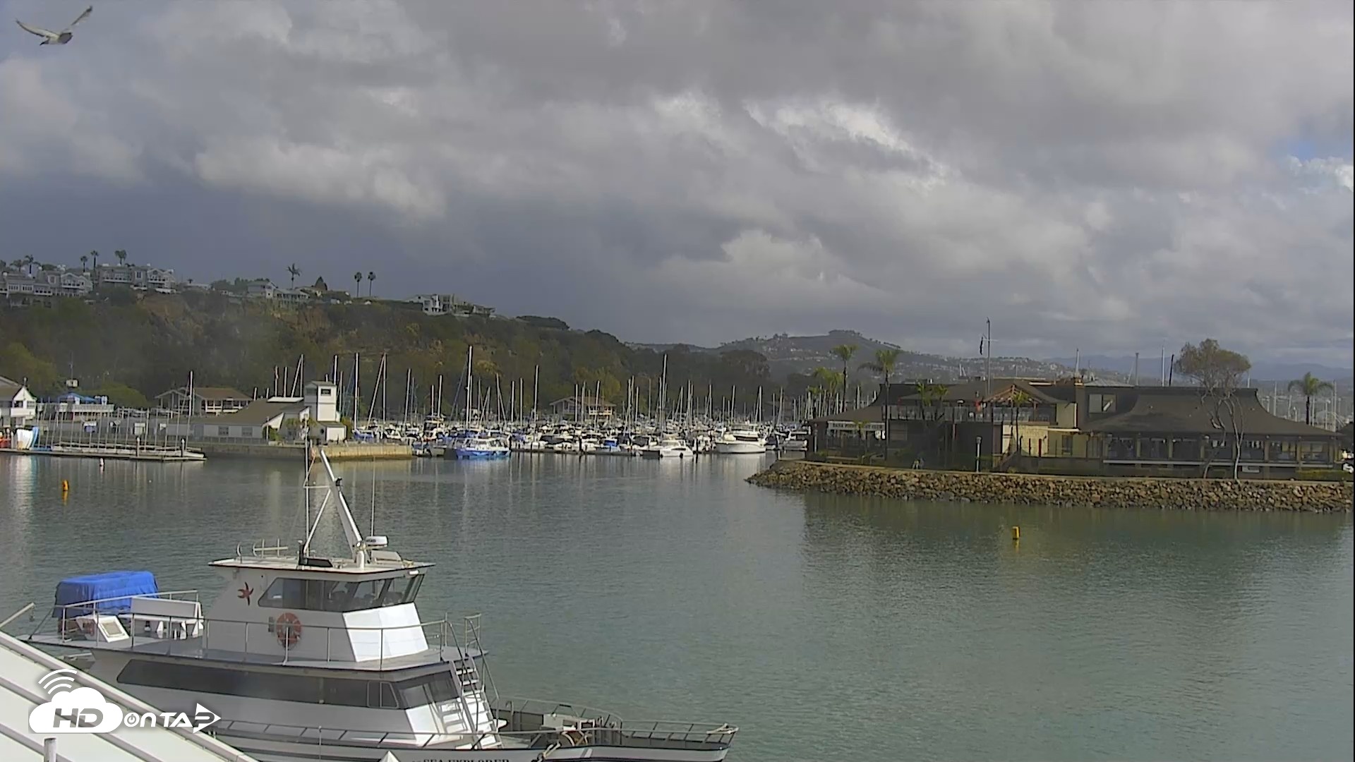 Snapshot of Dana Point Harbor Laguna Cliffs Resort Live Webcam taken Oct 22, 2026, 12:12pm PDT