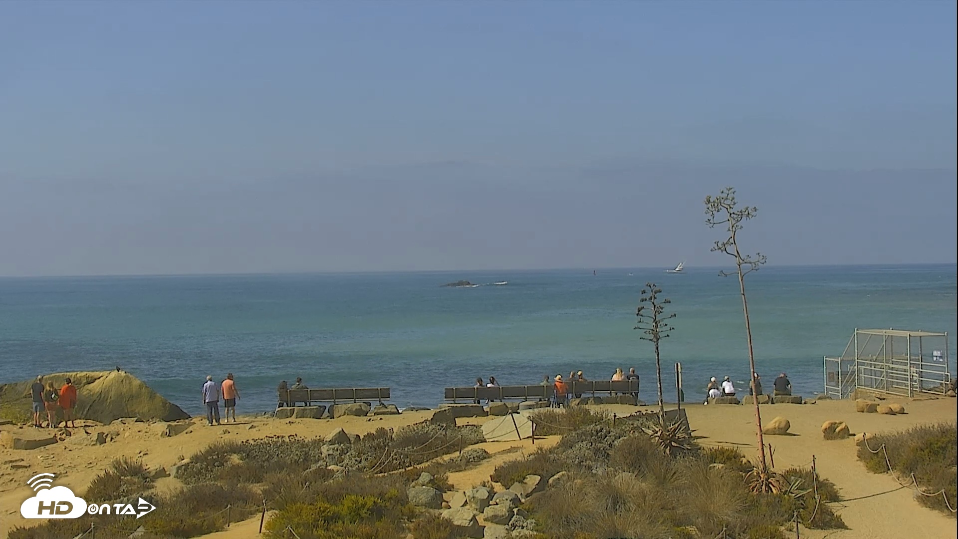 Snapshot of Dana Point Harbor Laguna Cliffs Resort Live Webcam taken Sep 25, 2026, 11:05am PDT