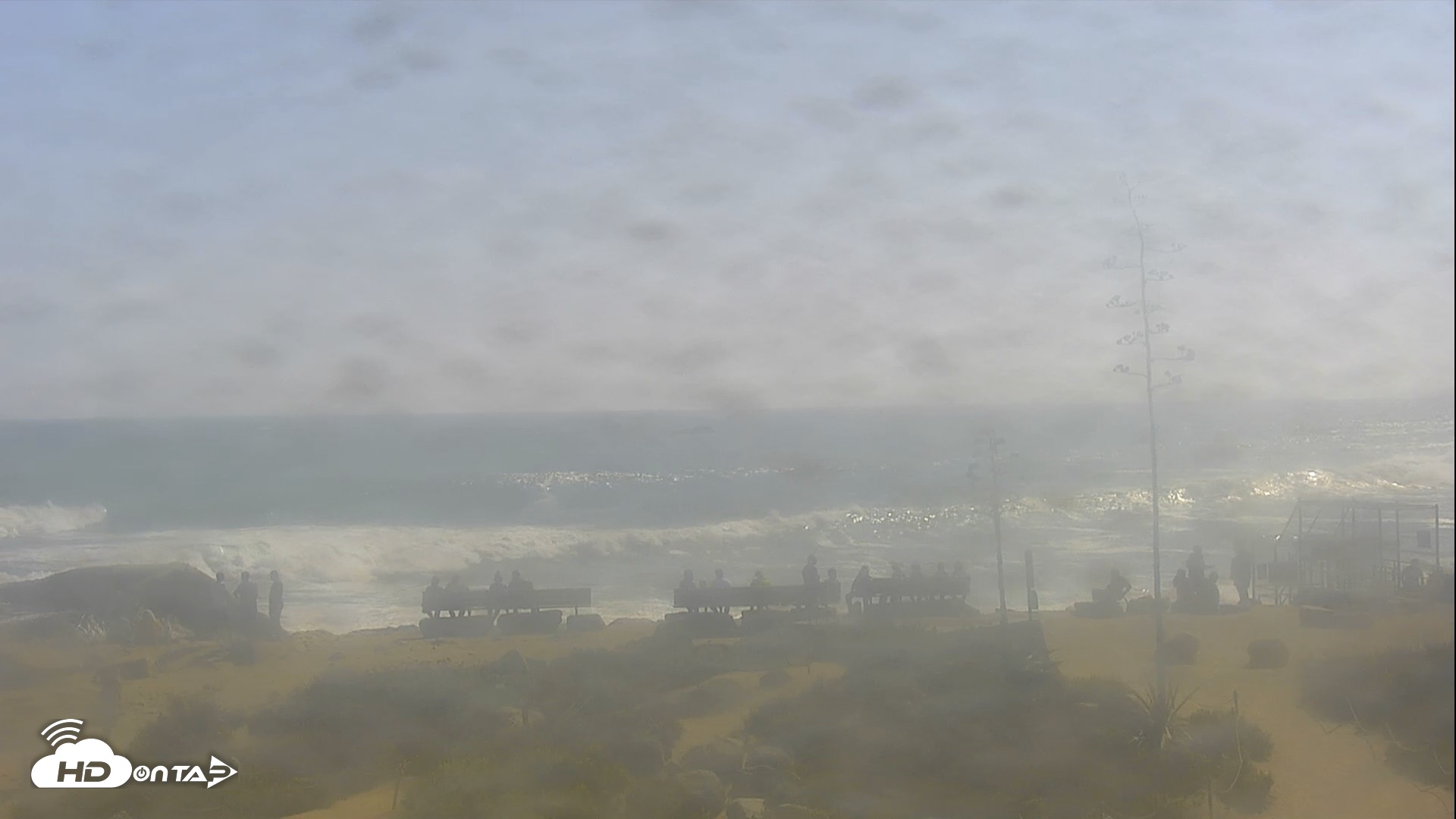 Snapshot of Dana Point Harbor Laguna Cliffs Resort Live Webcam taken Jul 19, 2026, 4:31pm PDT